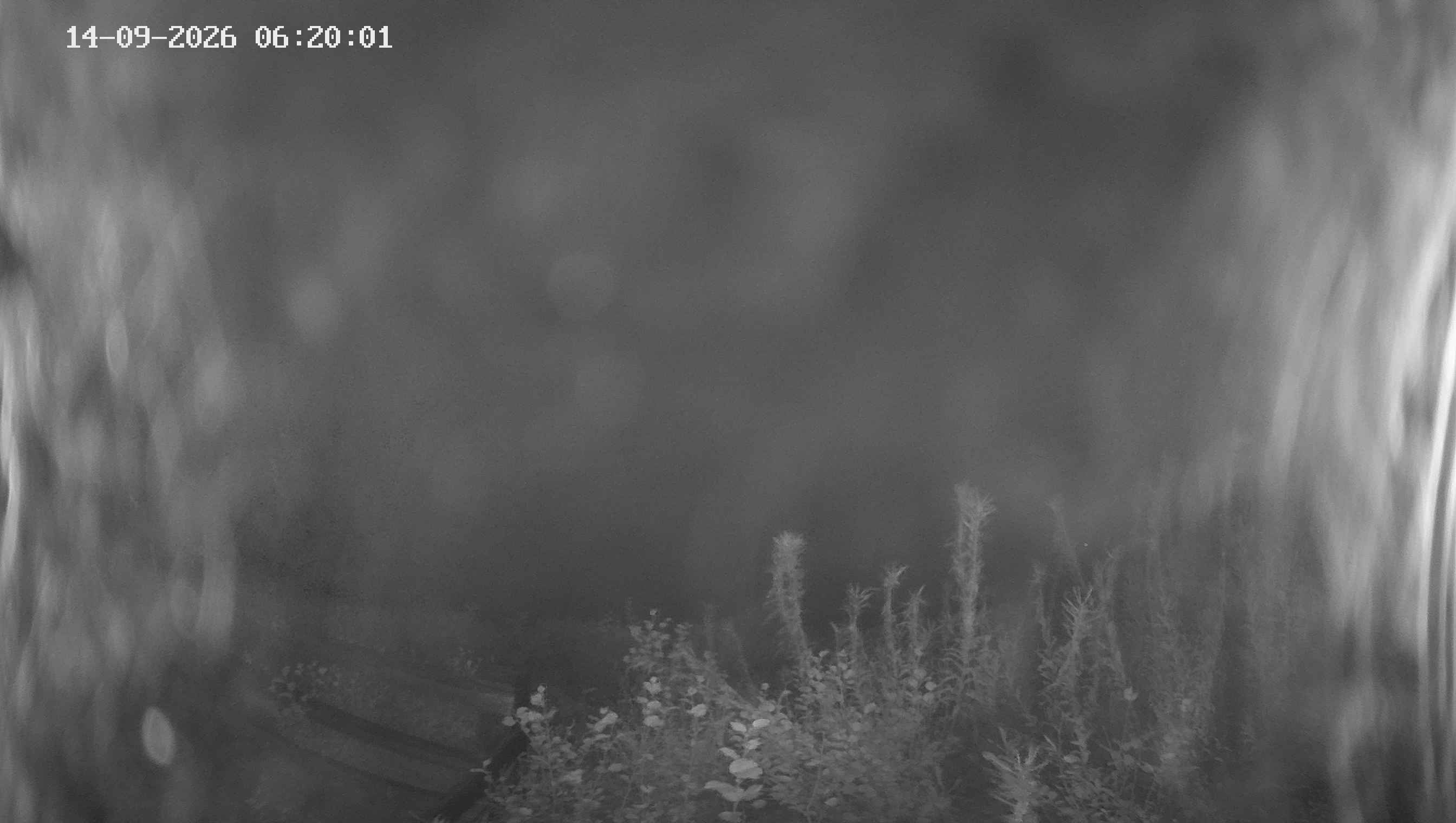 Archiv Foto Webcam Ladurns - Edelweißhütte