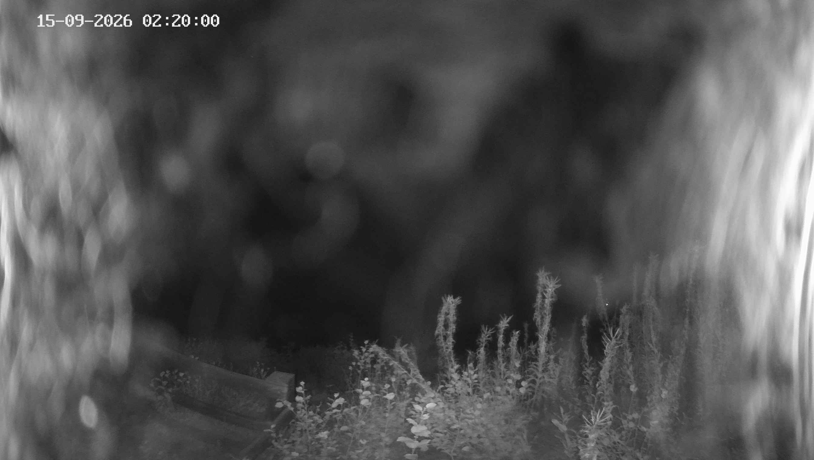 Archived image Webcam Ladurns - Malga Edelweis