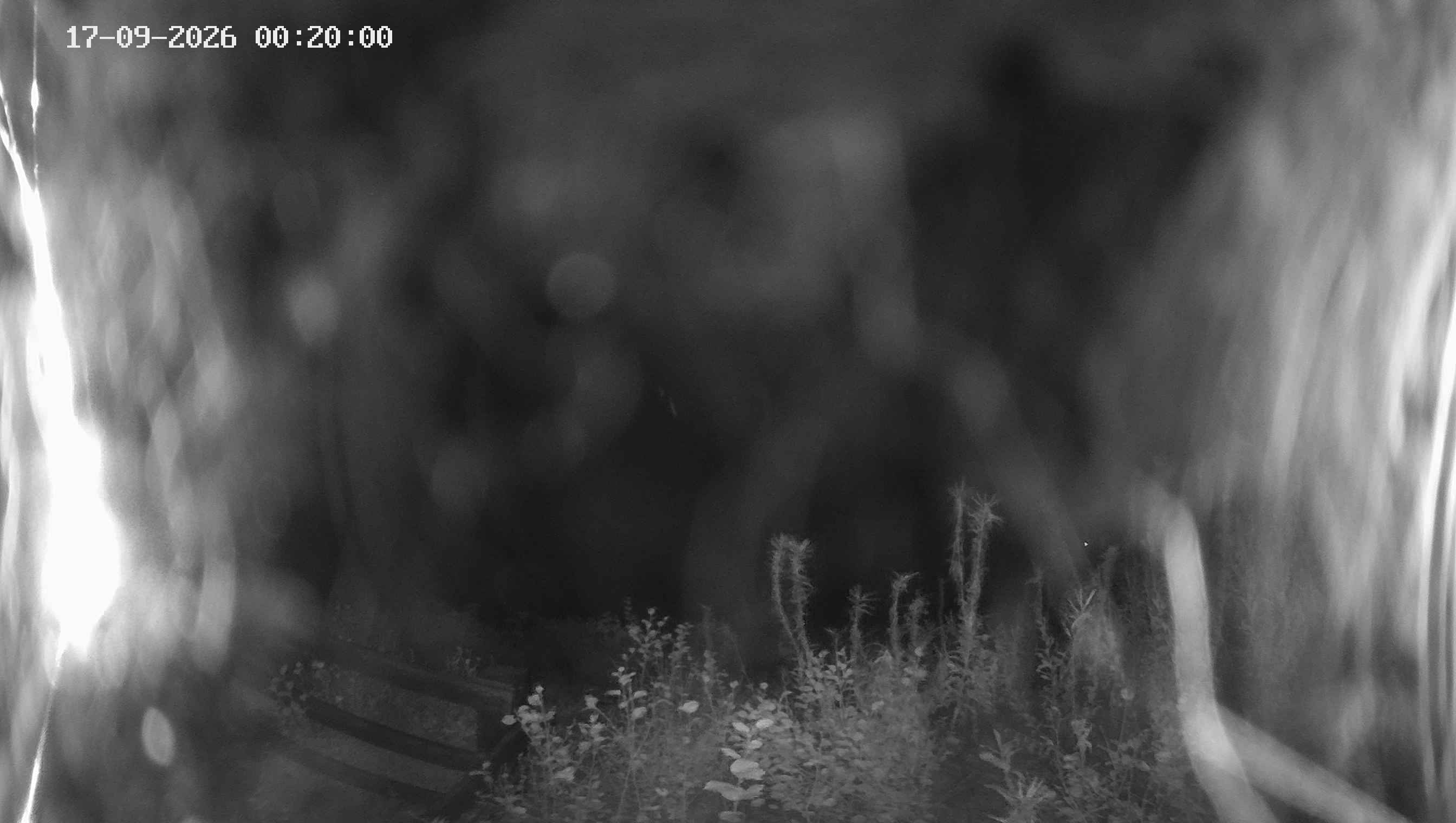 Archived image Webcam Ladurns - Malga Edelweis