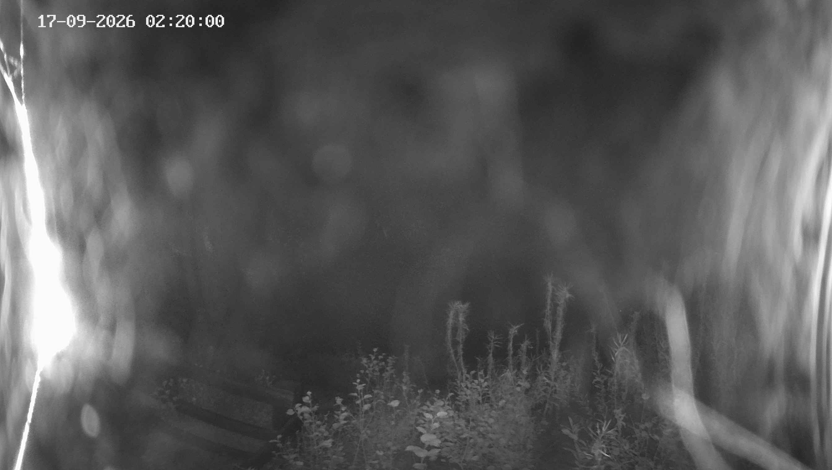 Archived image Webcam Ladurns - Malga Edelweis