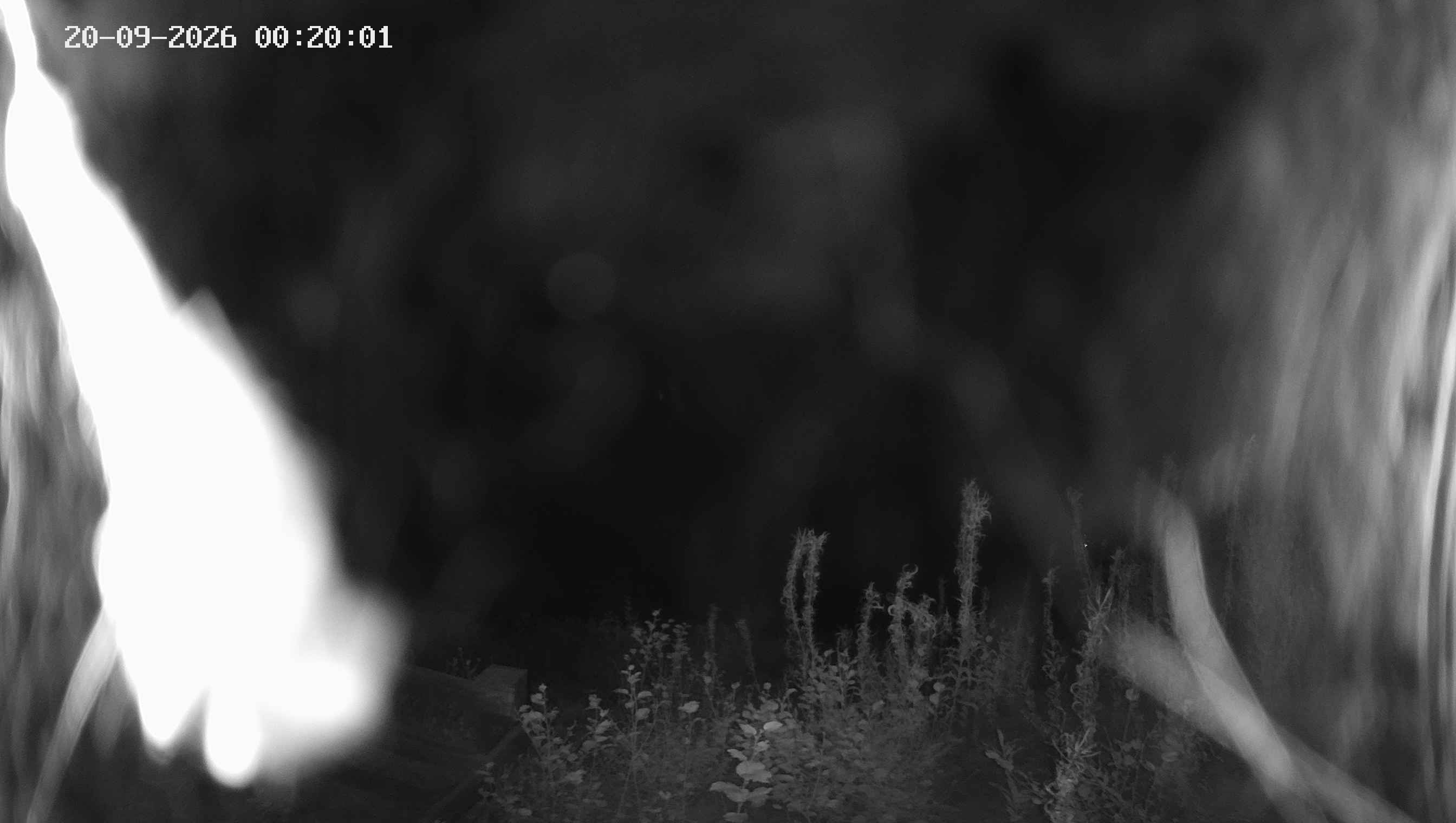 Archived image Webcam Ladurns - Malga Edelweis