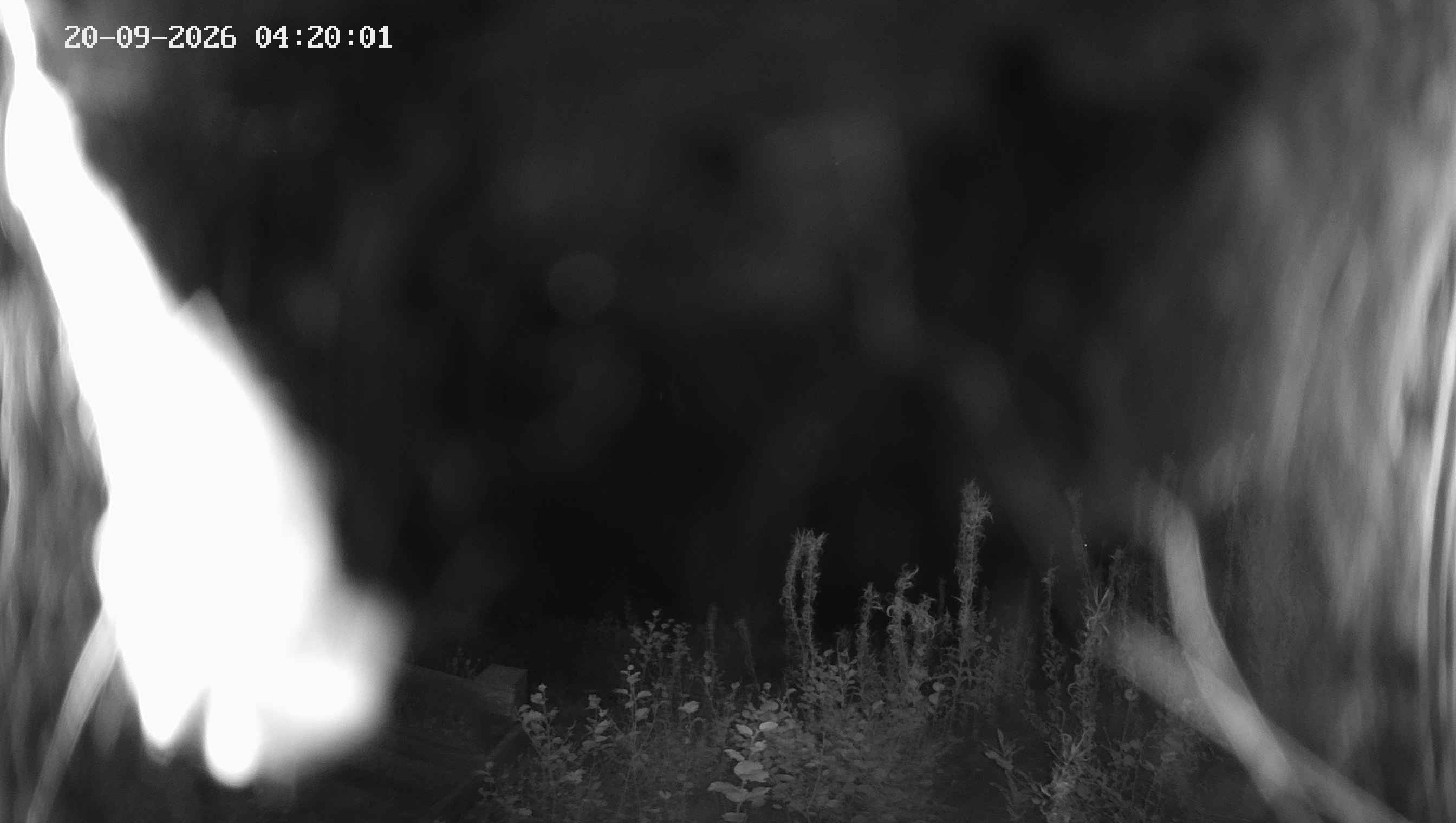 Archived image Webcam Ladurns - Malga Edelweis