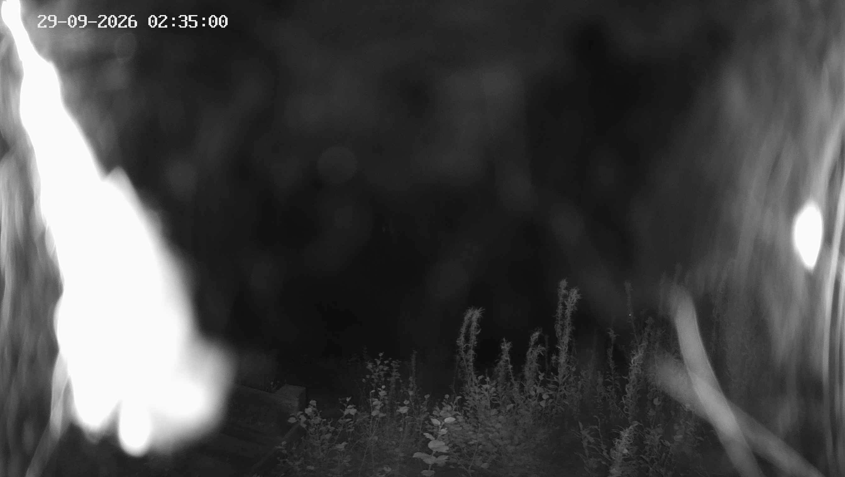 Archiv Foto Webcam Ladurns - Edelweißhütte