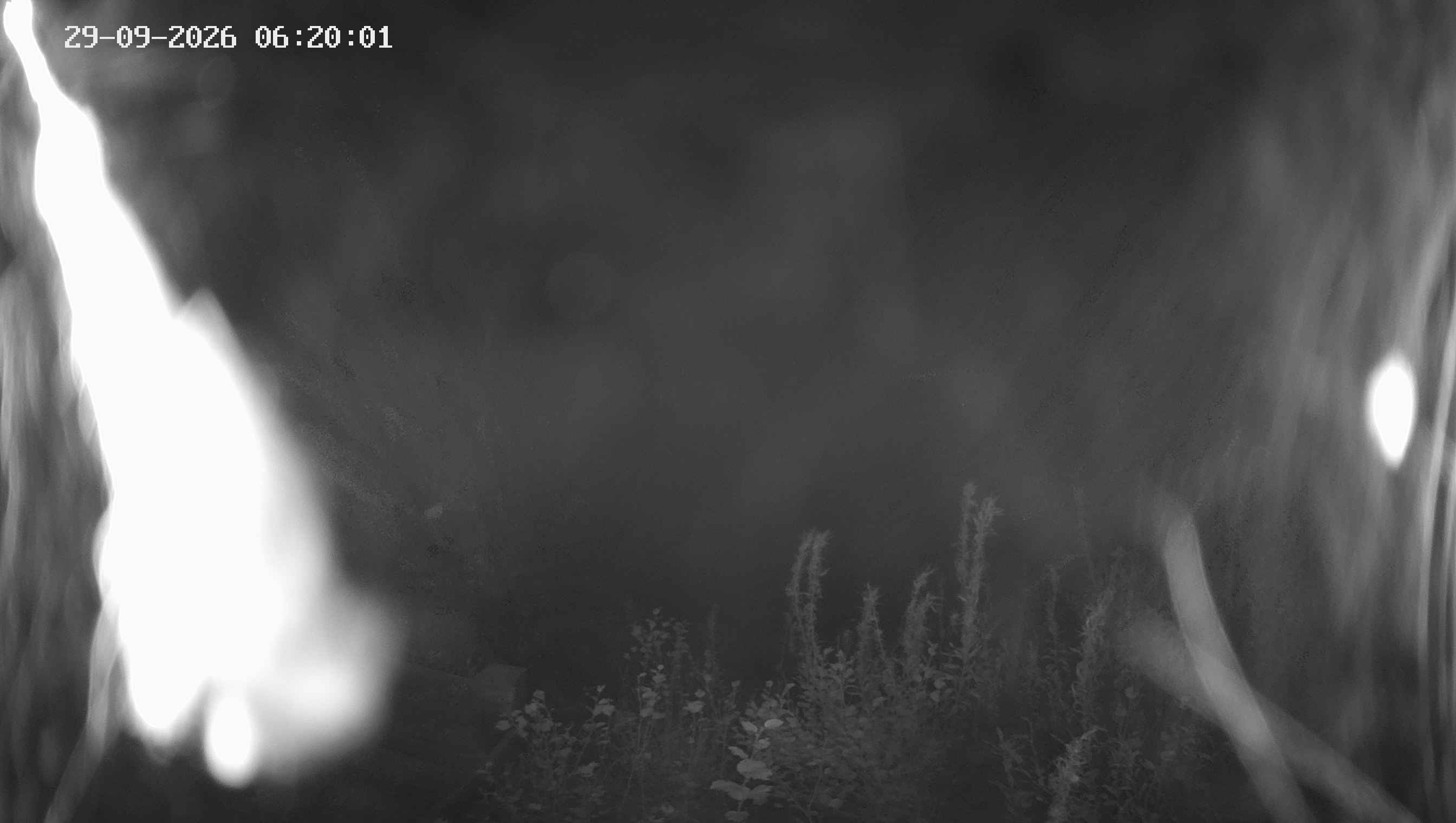 Archiv Foto Webcam Ladurns - Edelweißhütte