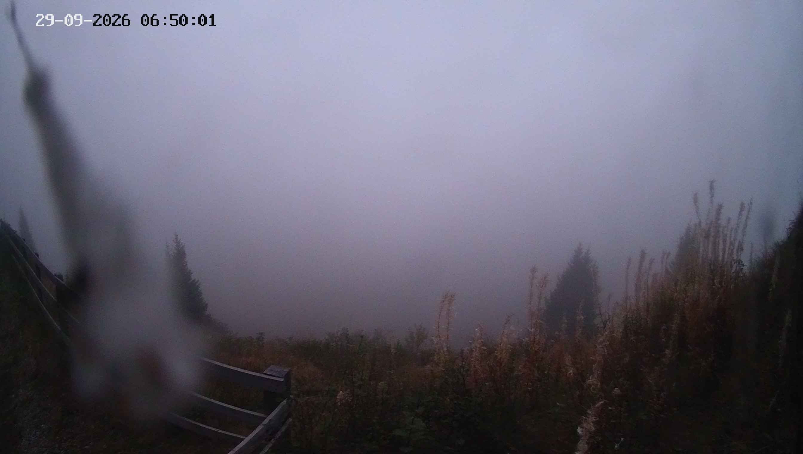 Archiv Foto Webcam Ladurns - Edelweißhütte