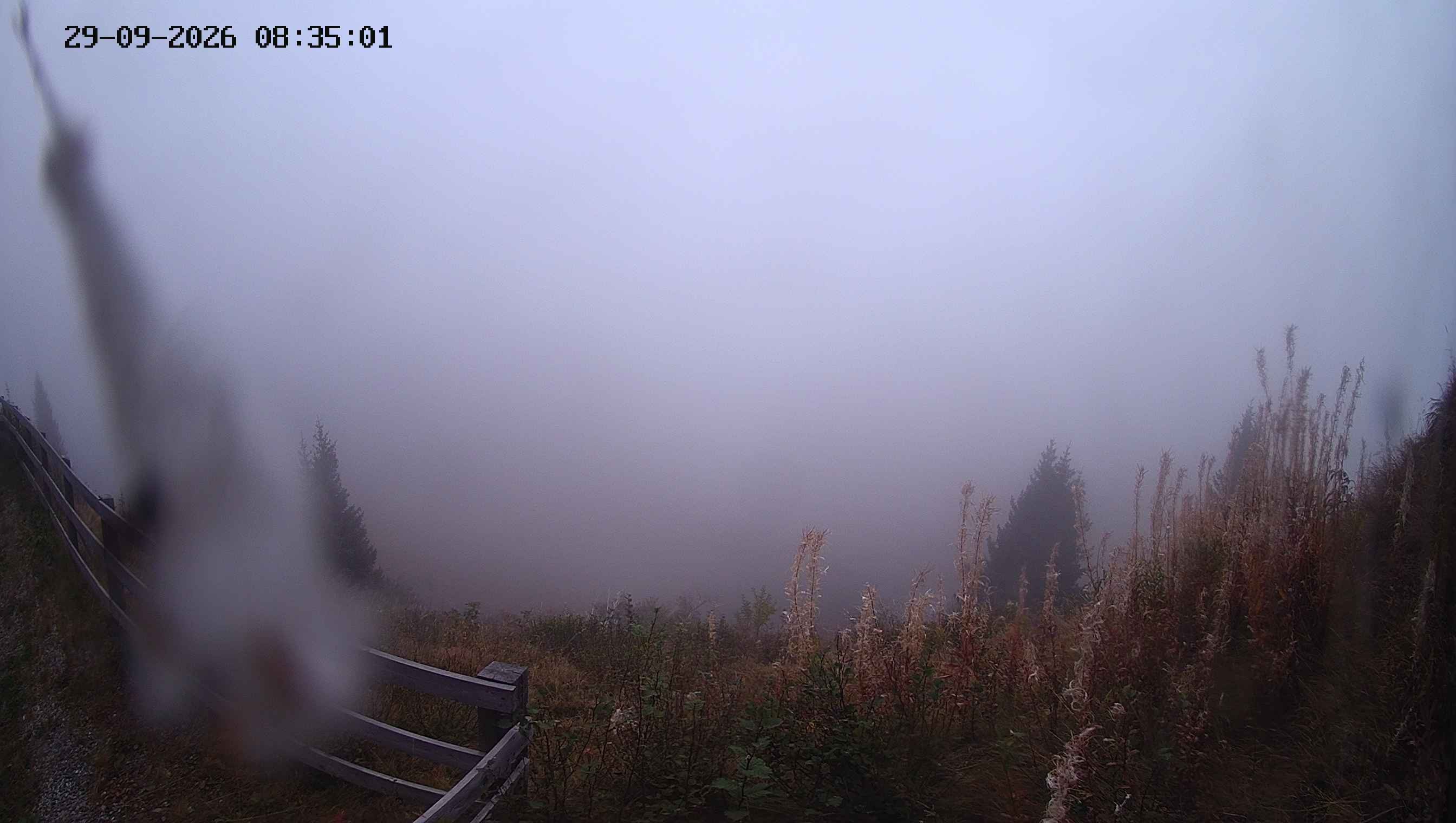 Archiv Foto Webcam Ladurns - Edelweißhütte
