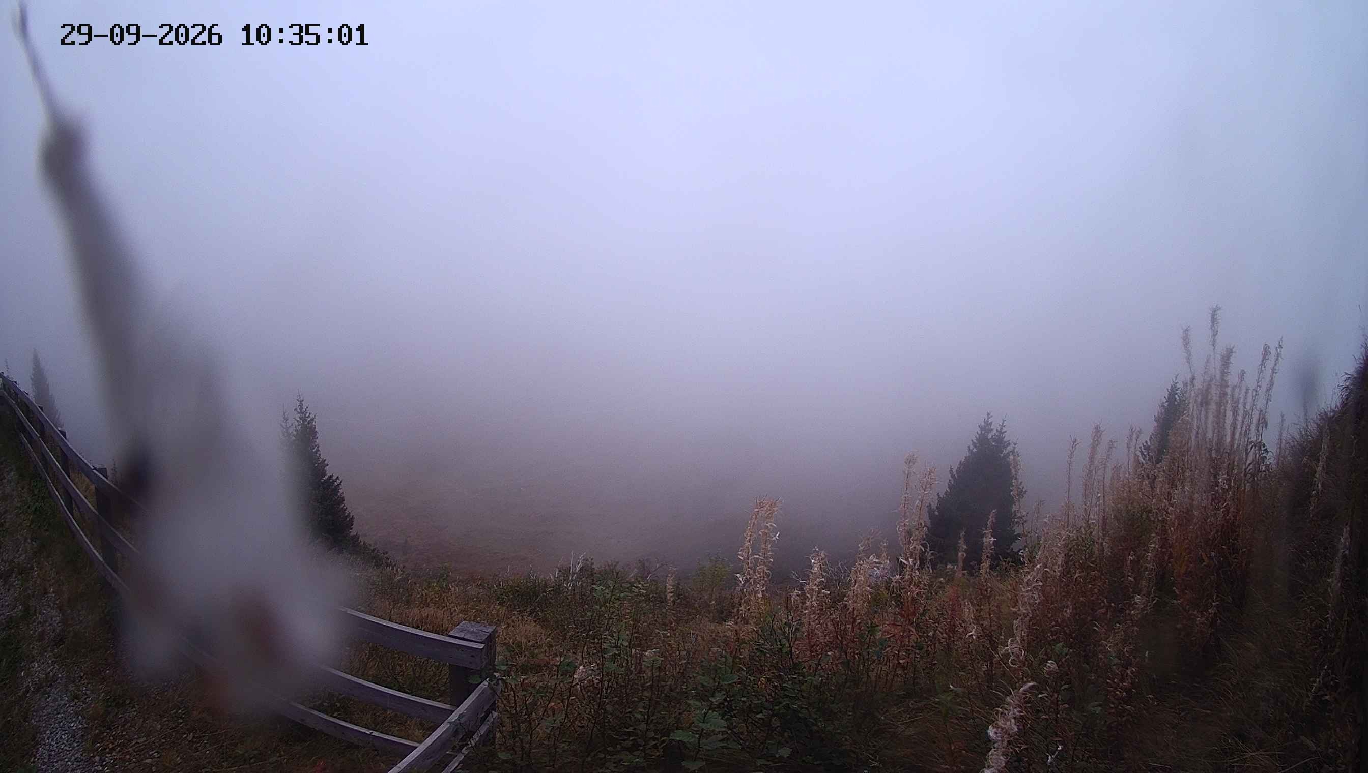 Archiv Foto Webcam Ladurns - Edelweißhütte