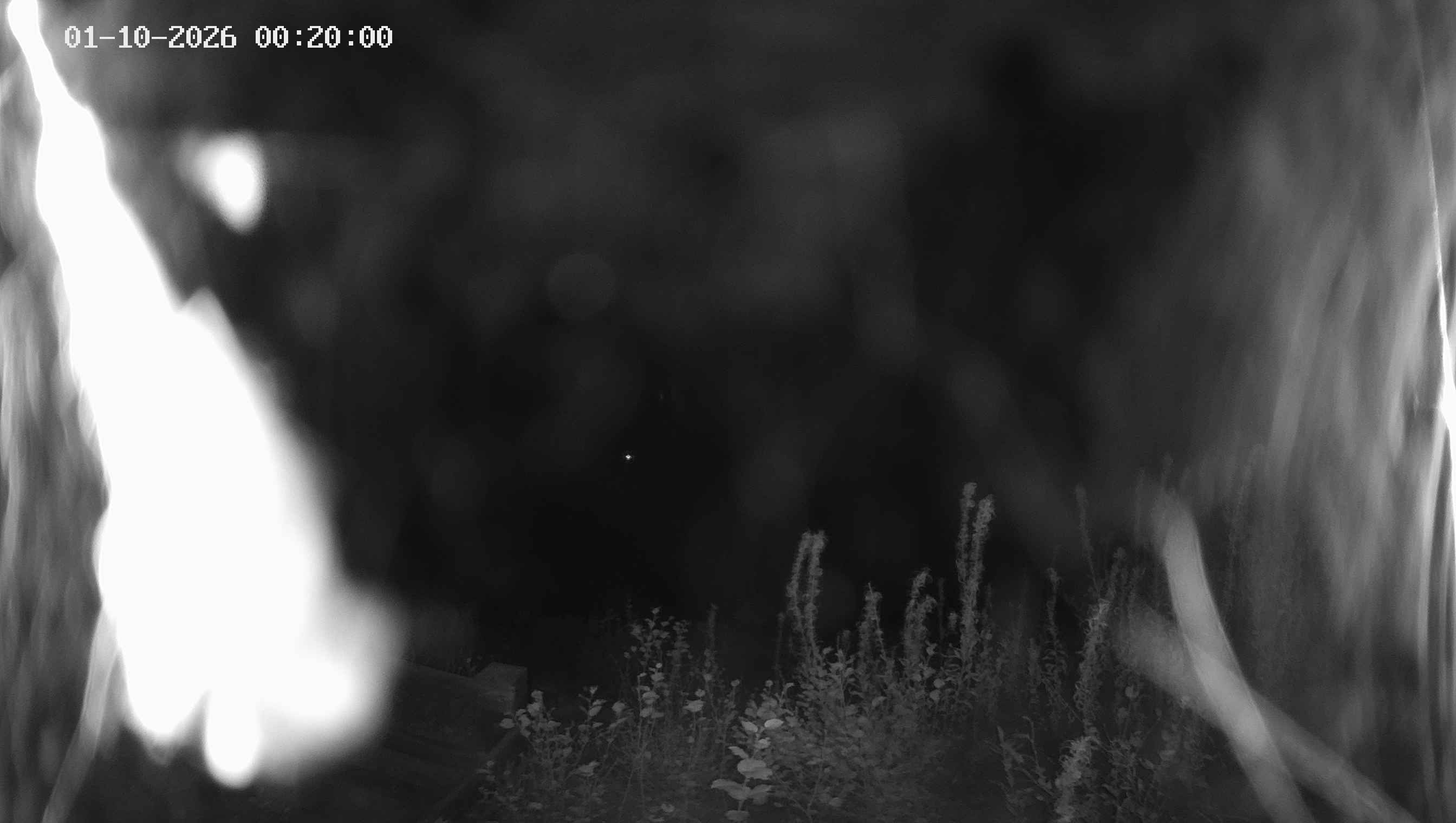Archiv Foto Webcam Ladurns - Edelweißhütte