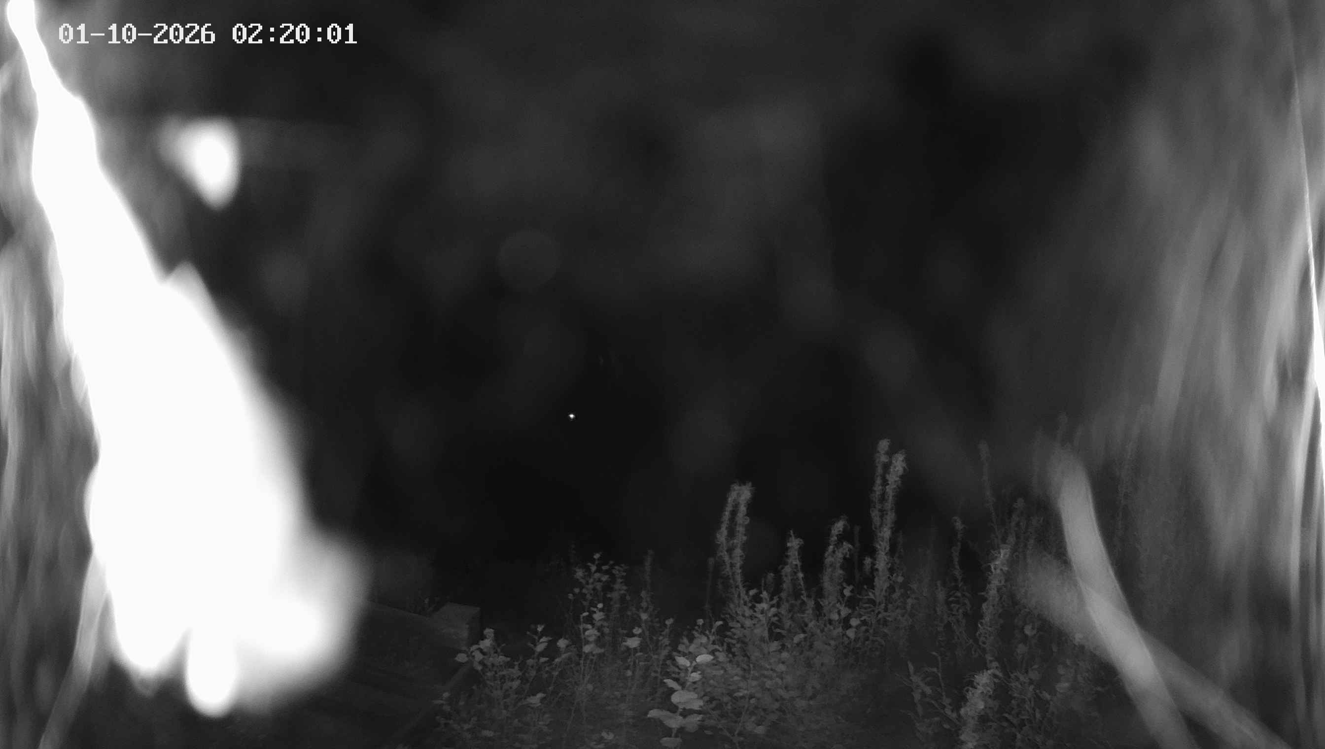 Archiv Foto Webcam Ladurns - Edelweißhütte