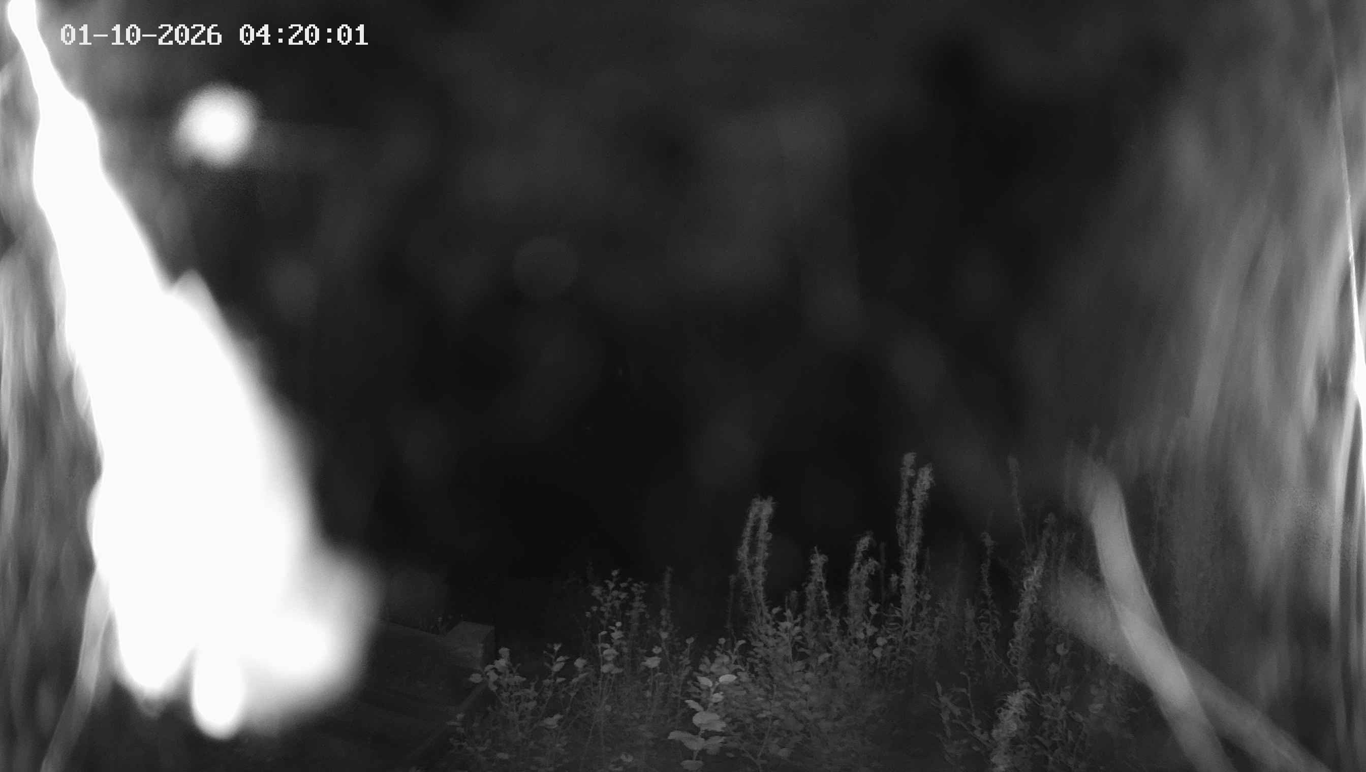 Archiv Foto Webcam Ladurns - Edelweißhütte