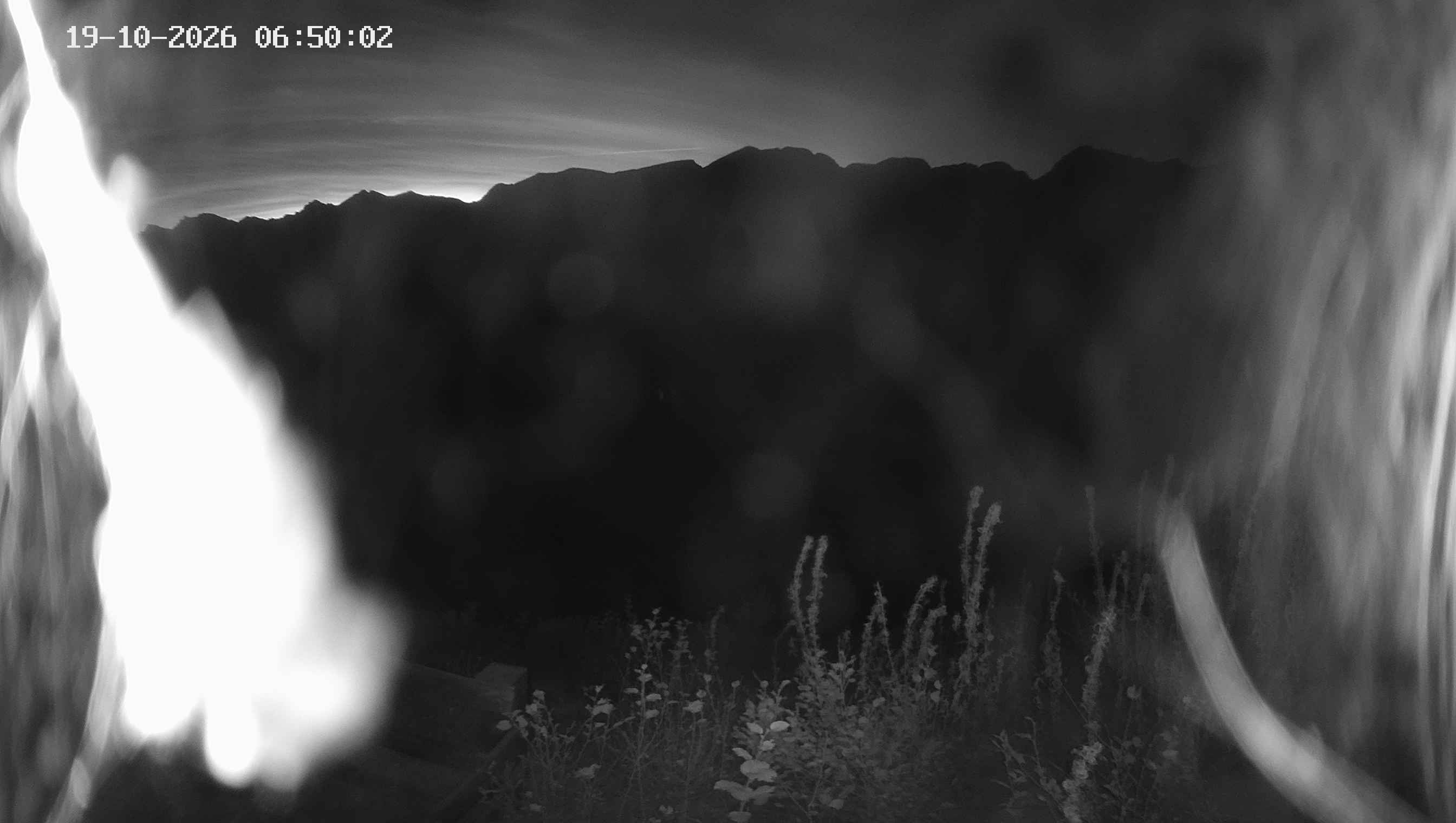 Archiv Foto Webcam Ladurns - Edelweißhütte