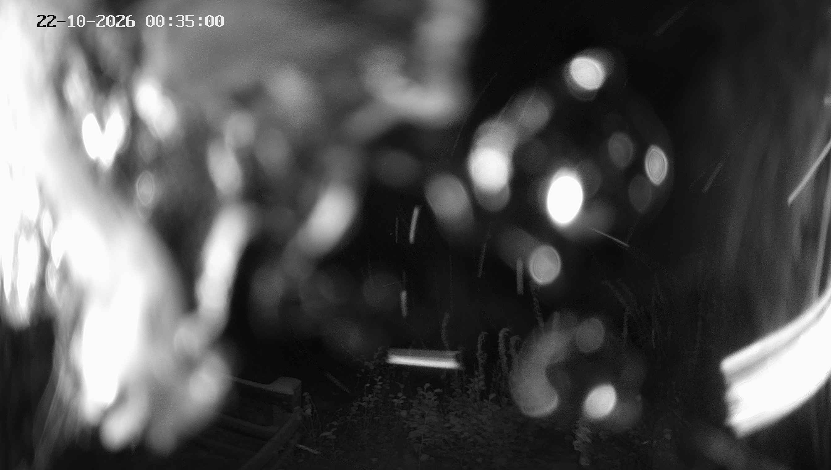 Archived image Webcam Ladurns - Malga Edelweis