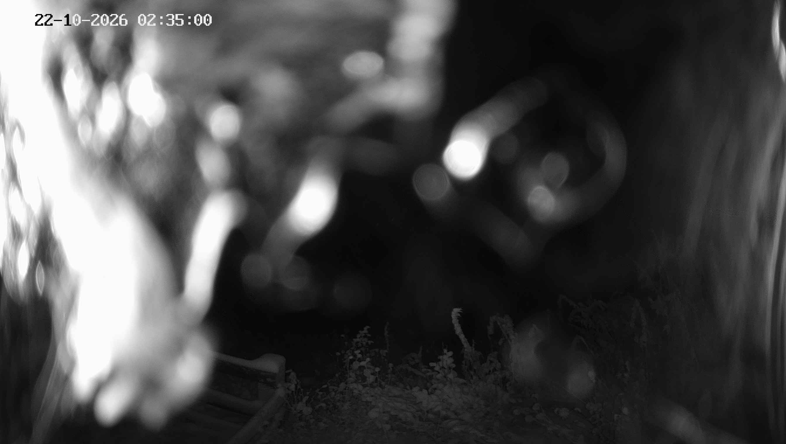 Archived image Webcam Ladurns - Malga Edelweis