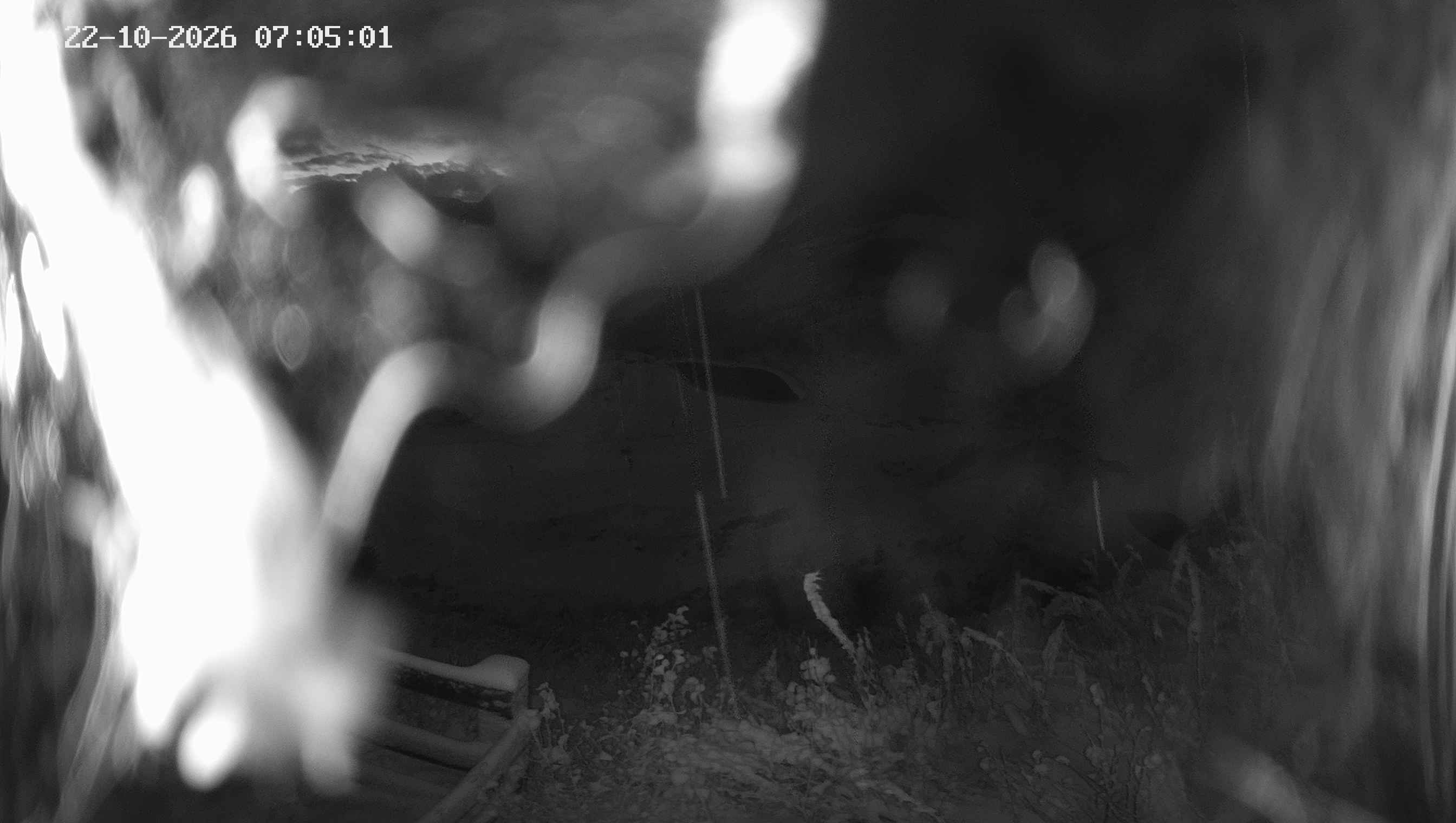 Archived image Webcam Ladurns - Malga Edelweis