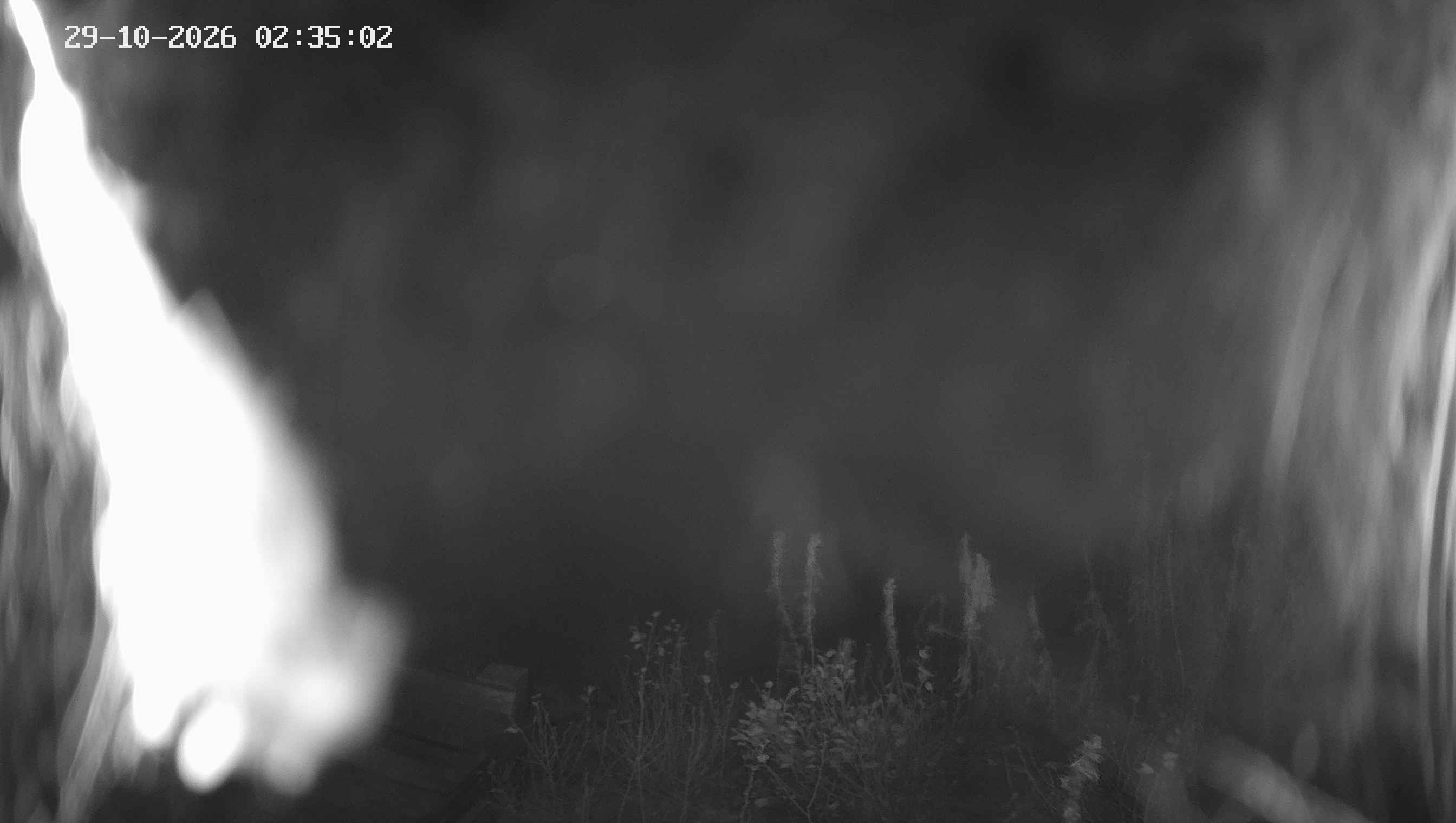 Archiv Foto Webcam Ladurns - Edelweißhütte