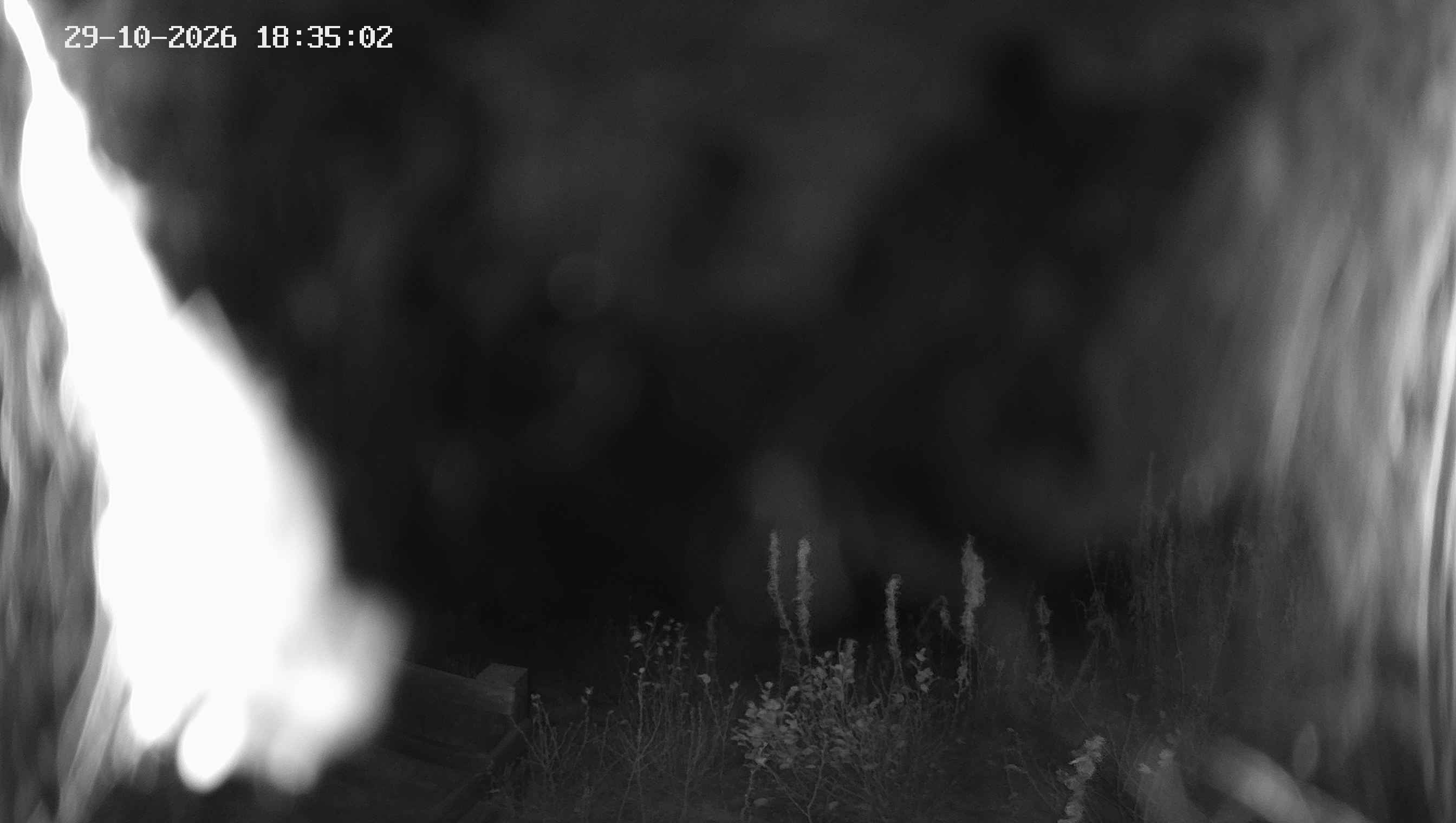 Archiv Foto Webcam Ladurns - Edelweißhütte