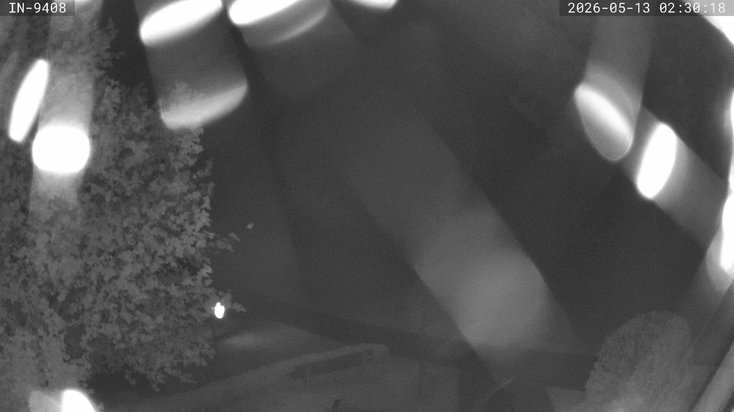 Archiv Foto Webcam Blick auf den Golfplatz in Bad Wörishofen