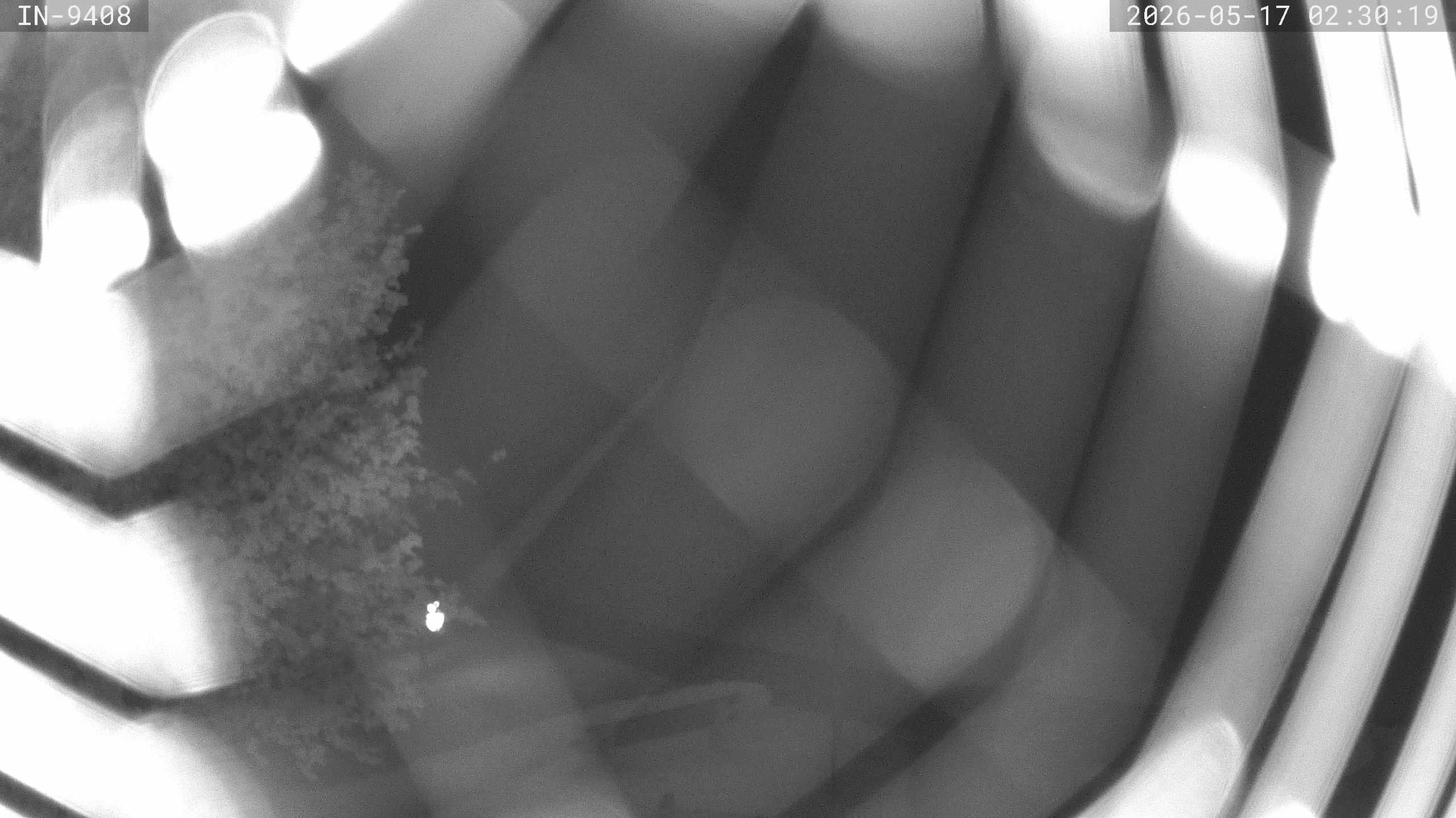 Archiv Foto Webcam Blick auf den Golfplatz in Bad Wörishofen