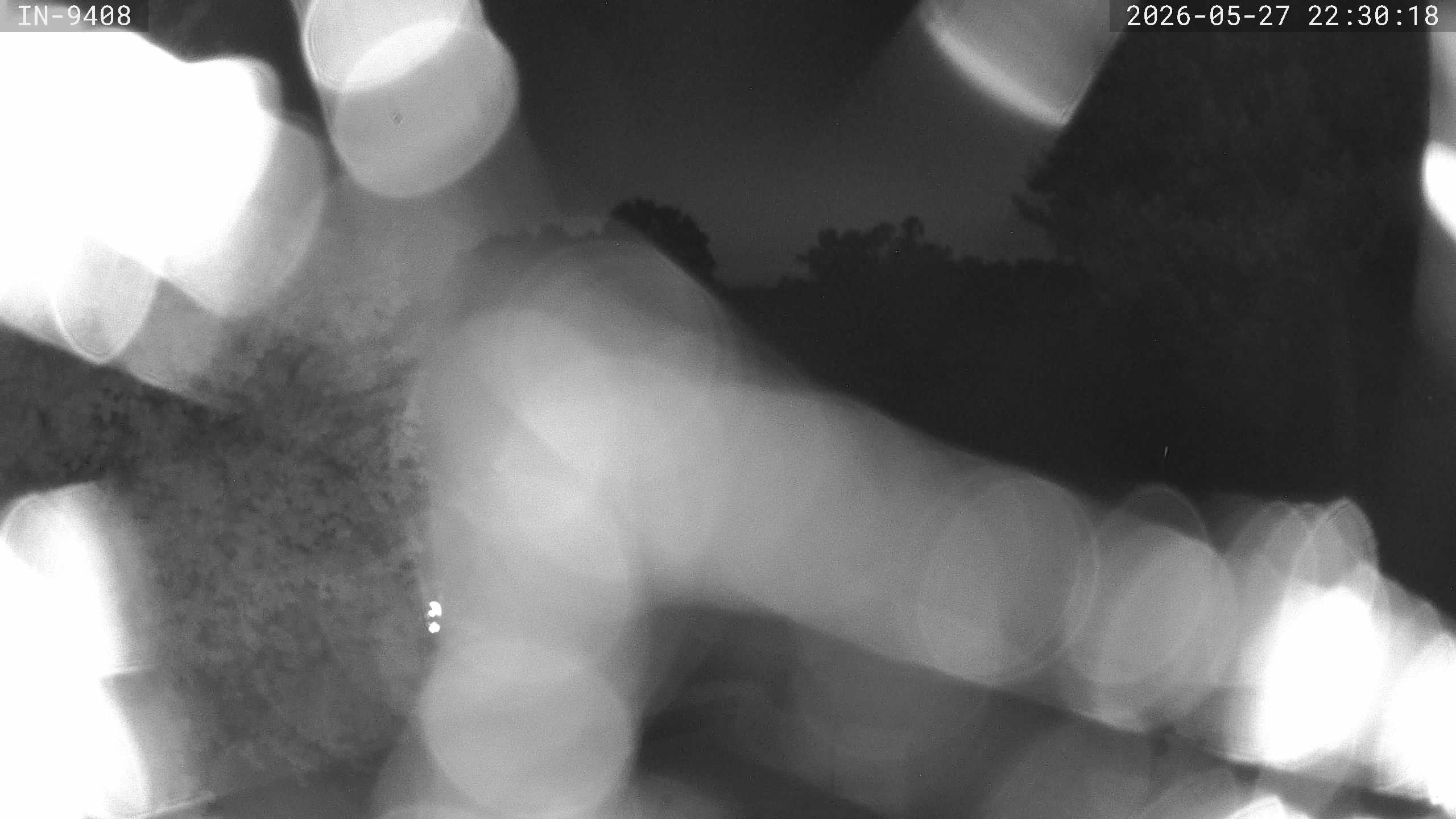 Archived image Webcam Golf course Bad Wörishofen