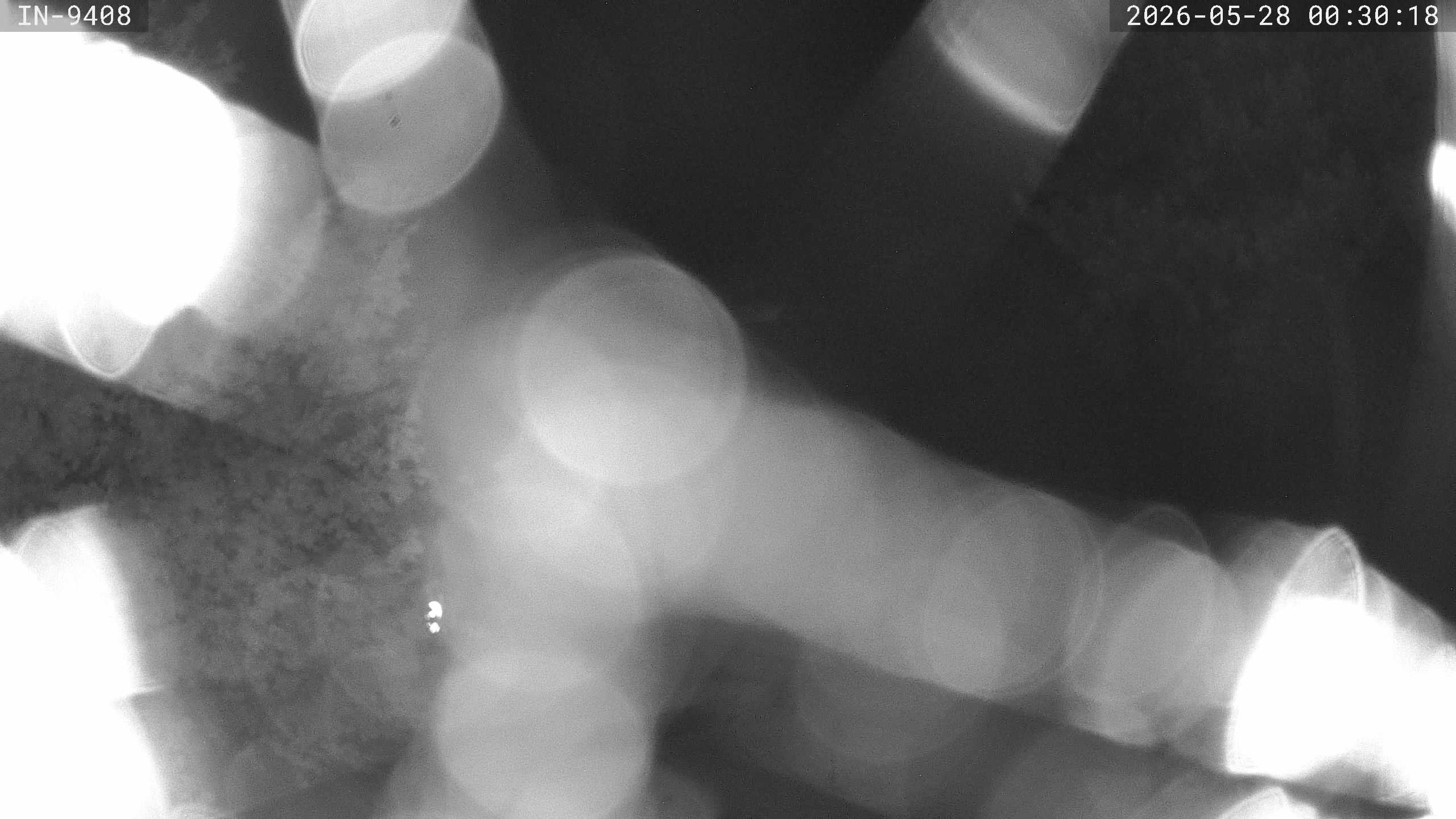 Archiv Foto Webcam Blick auf den Golfplatz in Bad Wörishofen