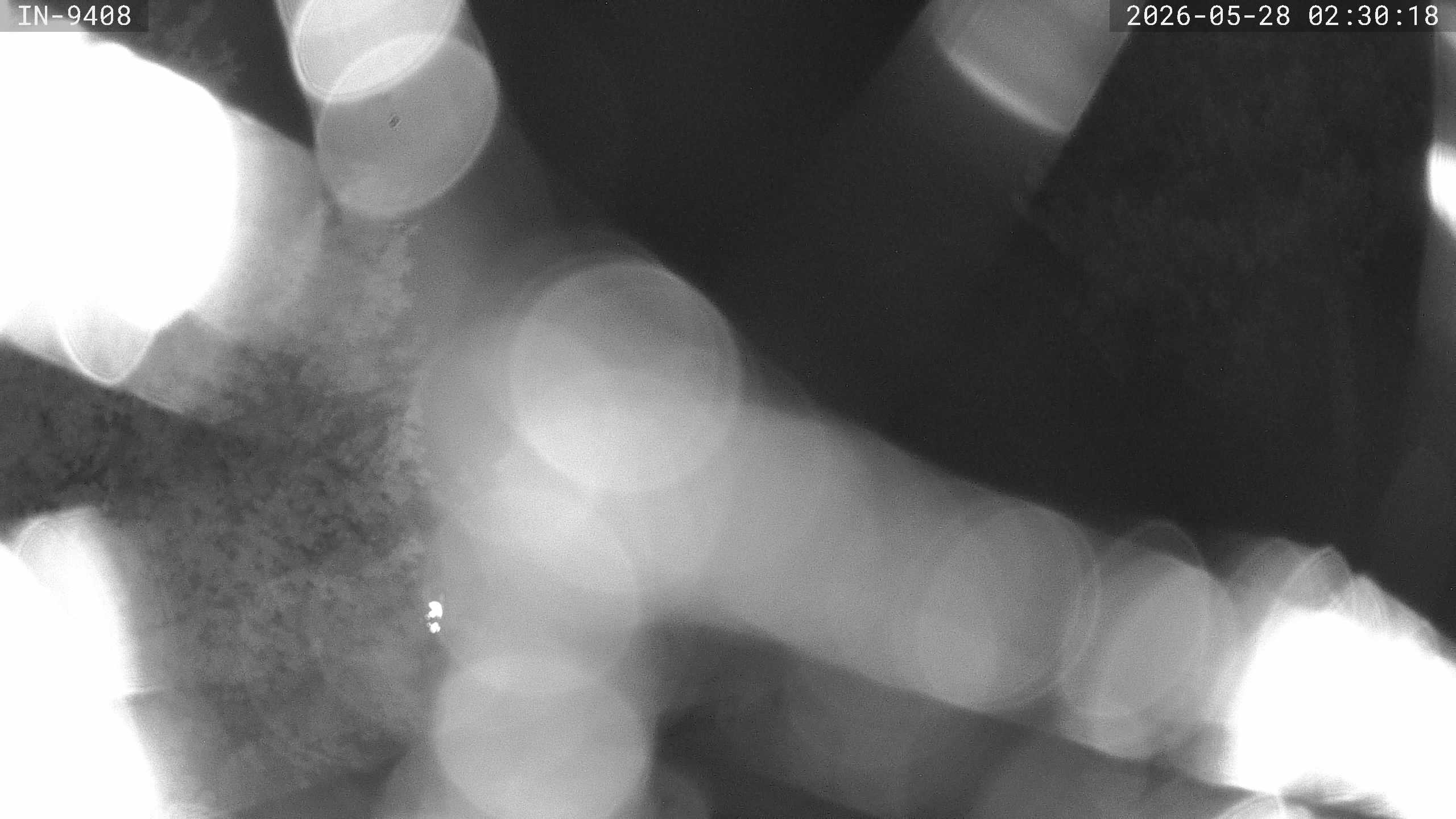Archiv Foto Webcam Blick auf den Golfplatz in Bad Wörishofen