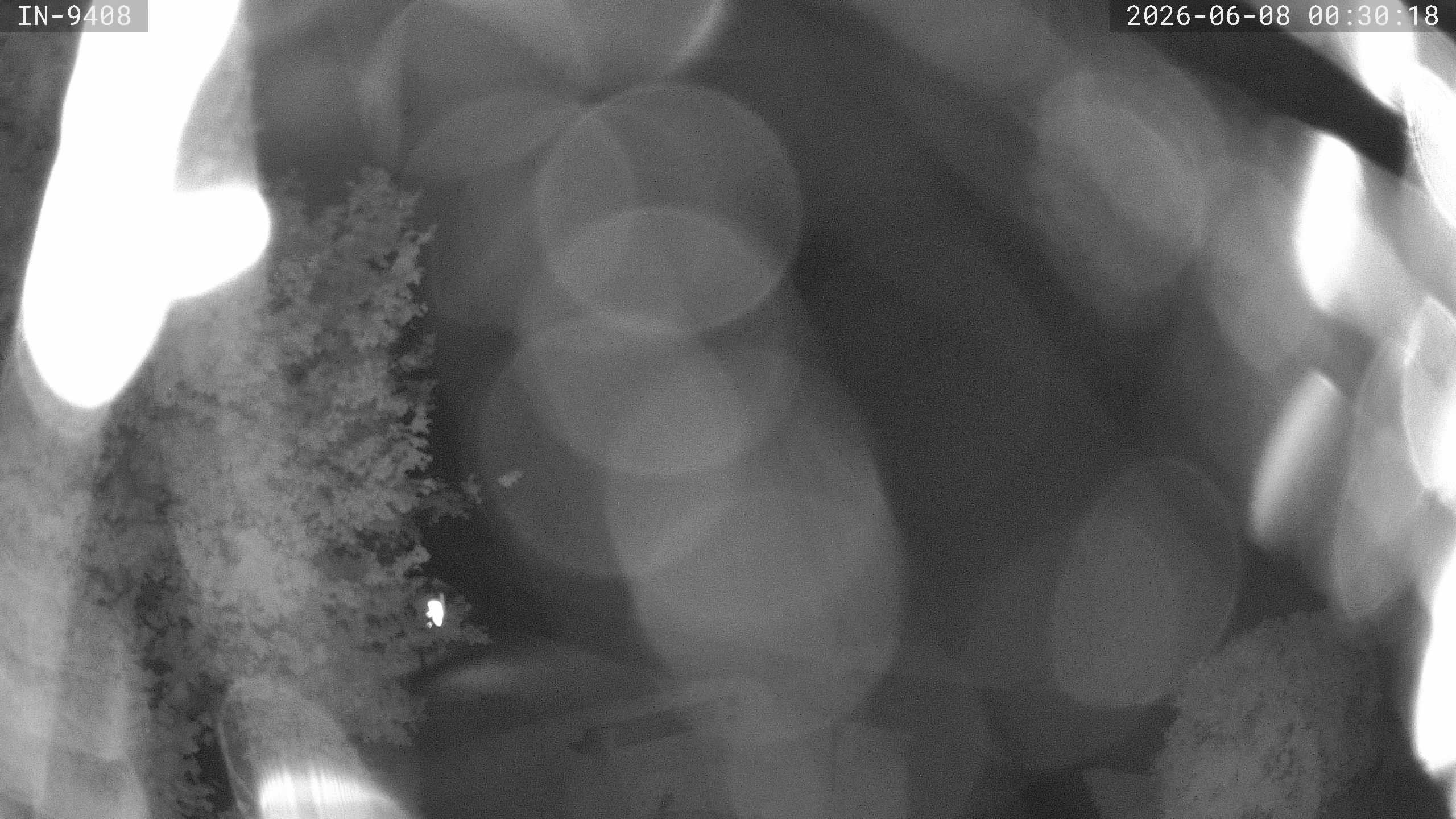Archiv Foto Webcam Blick auf den Golfplatz in Bad Wörishofen