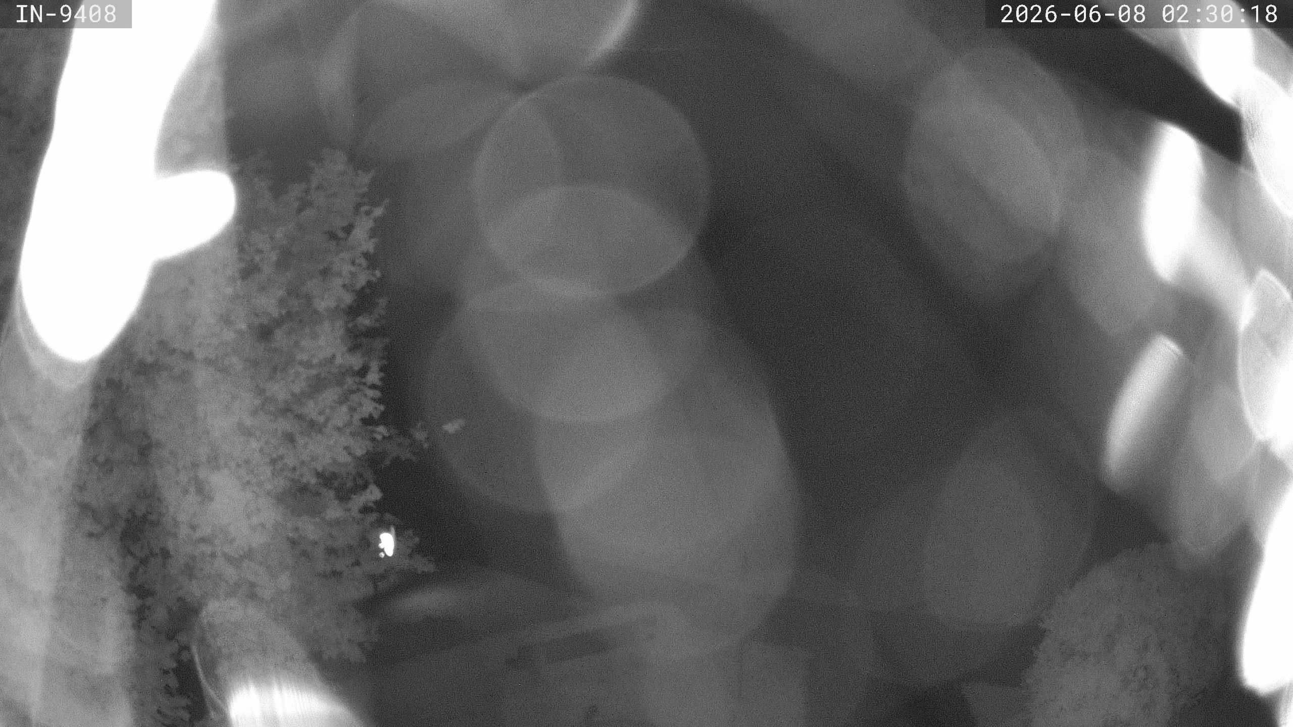 Archiv Foto Webcam Blick auf den Golfplatz in Bad Wörishofen