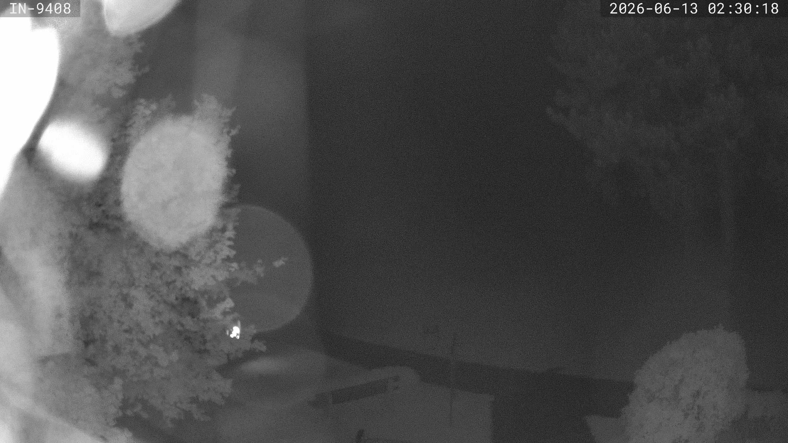 Archived image Webcam Golf course Bad Wörishofen