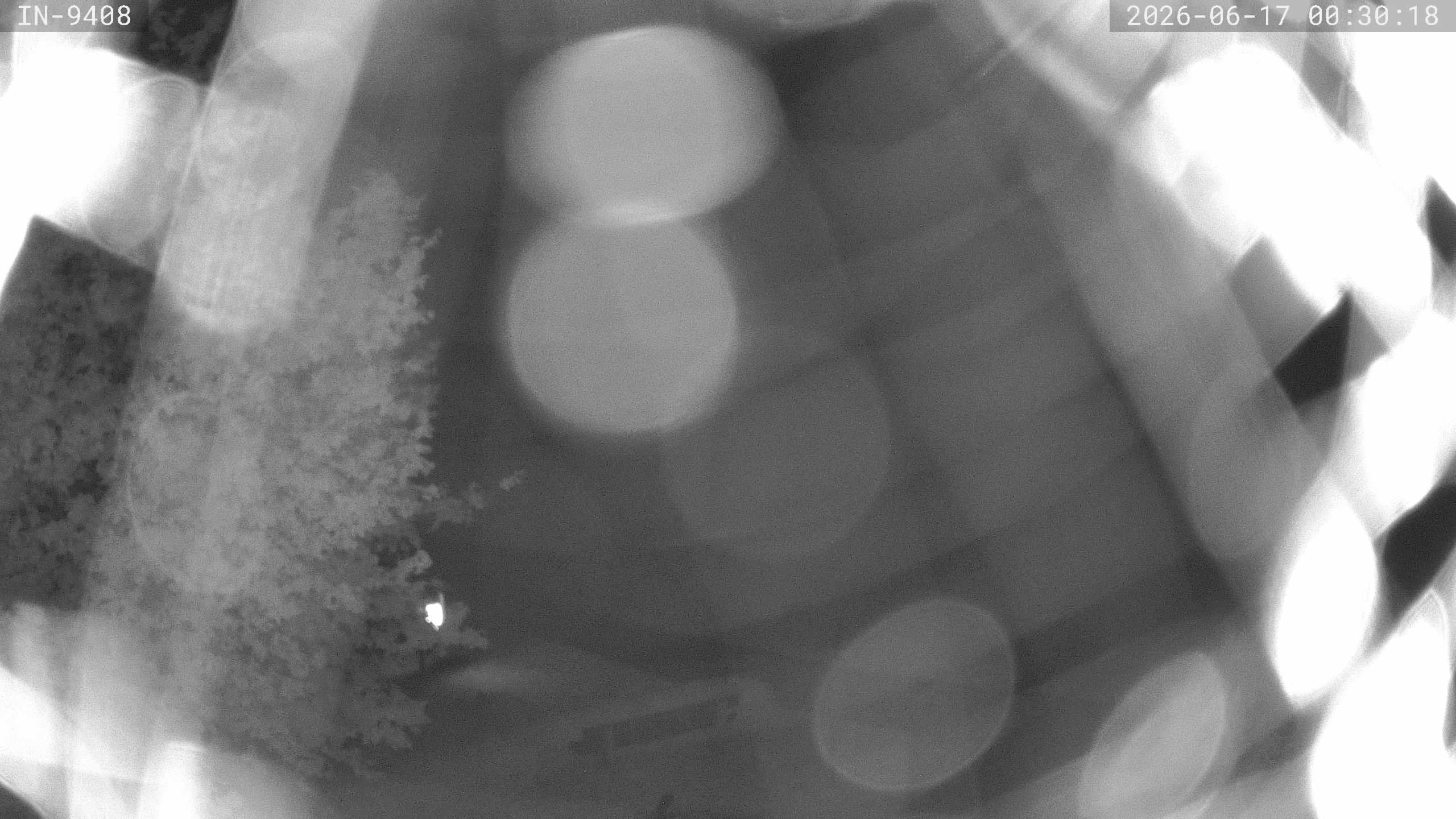 Archiv Foto Webcam Blick auf den Golfplatz in Bad Wörishofen