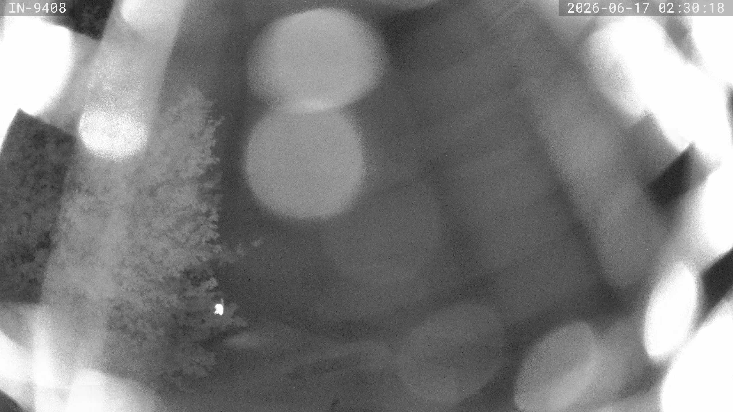 Archiv Foto Webcam Blick auf den Golfplatz in Bad Wörishofen