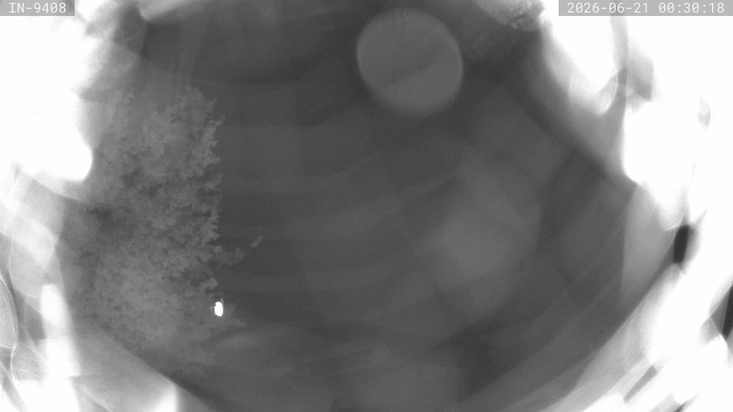 Archiv Foto Webcam Blick auf den Golfplatz in Bad Wörishofen