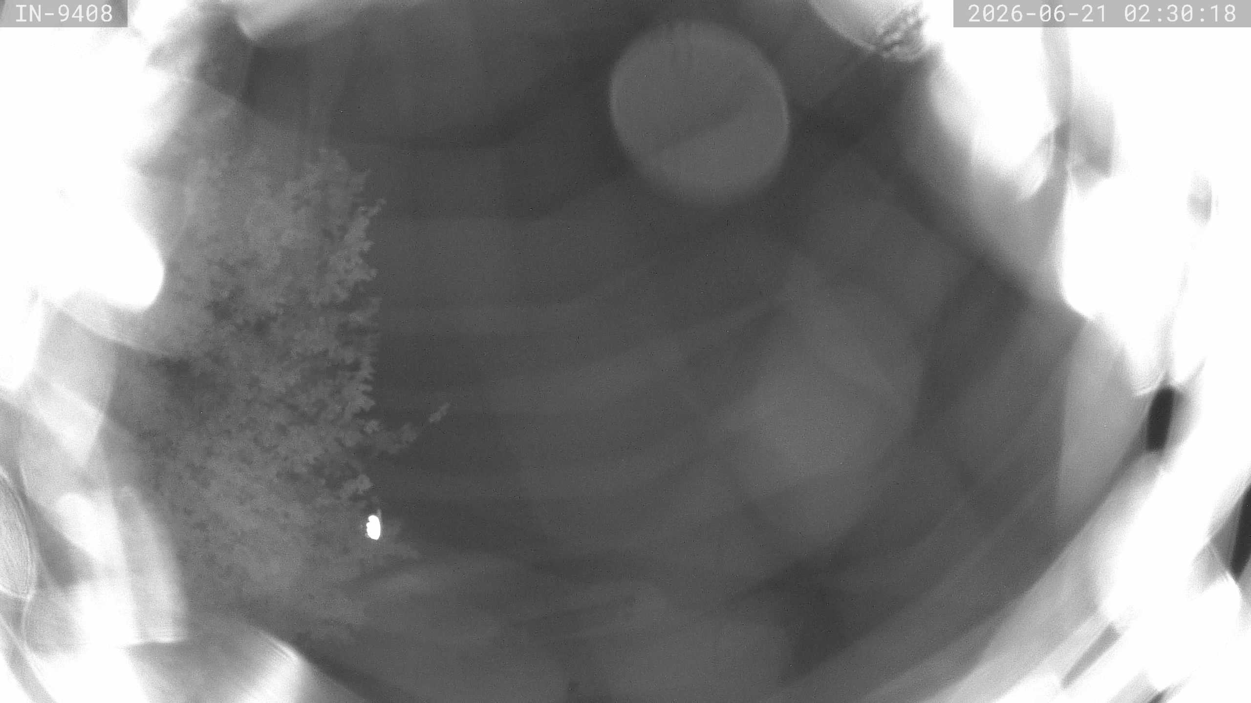 Archiv Foto Webcam Blick auf den Golfplatz in Bad Wörishofen
