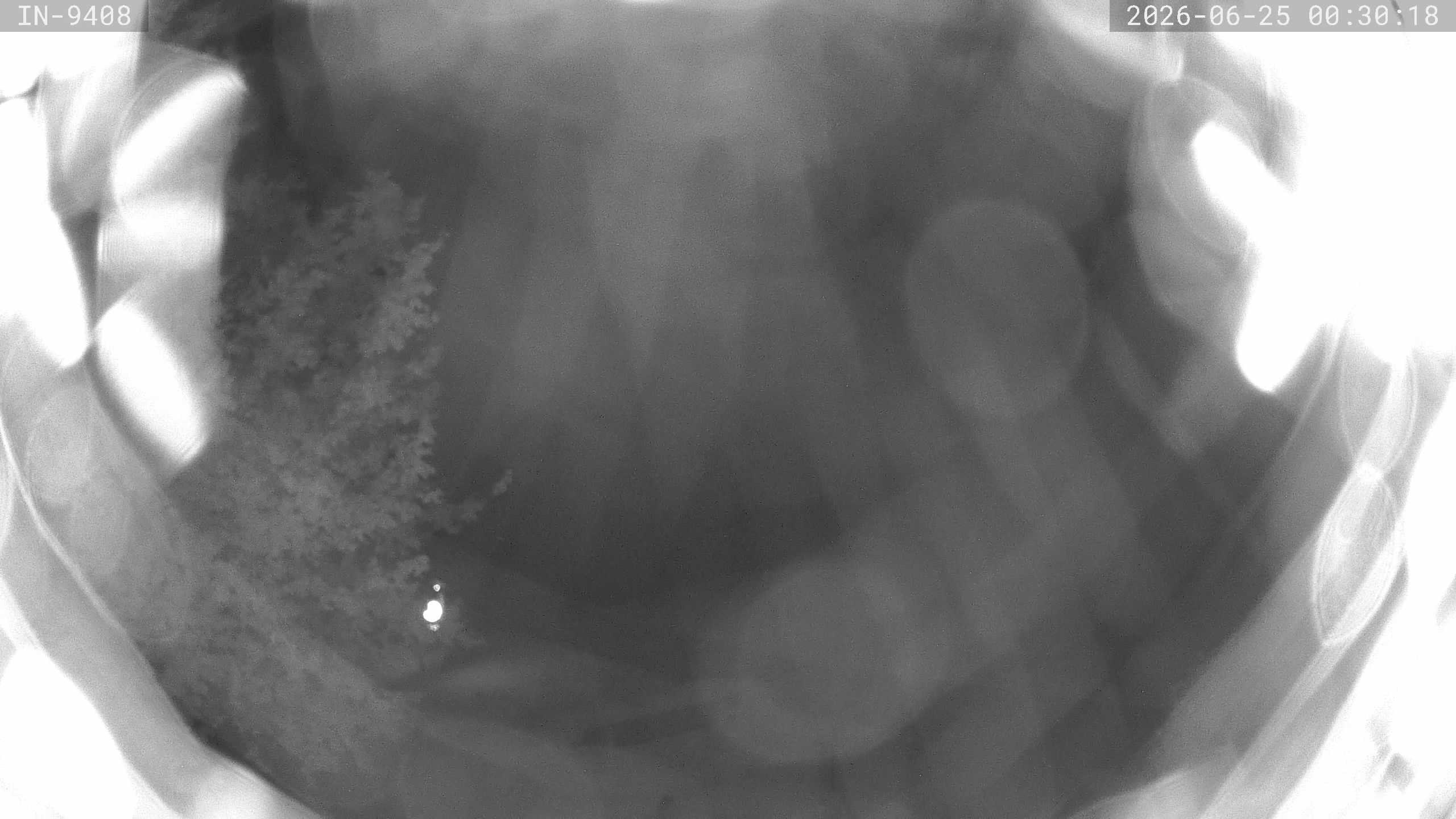 Archiv Foto Webcam Blick auf den Golfplatz in Bad Wörishofen