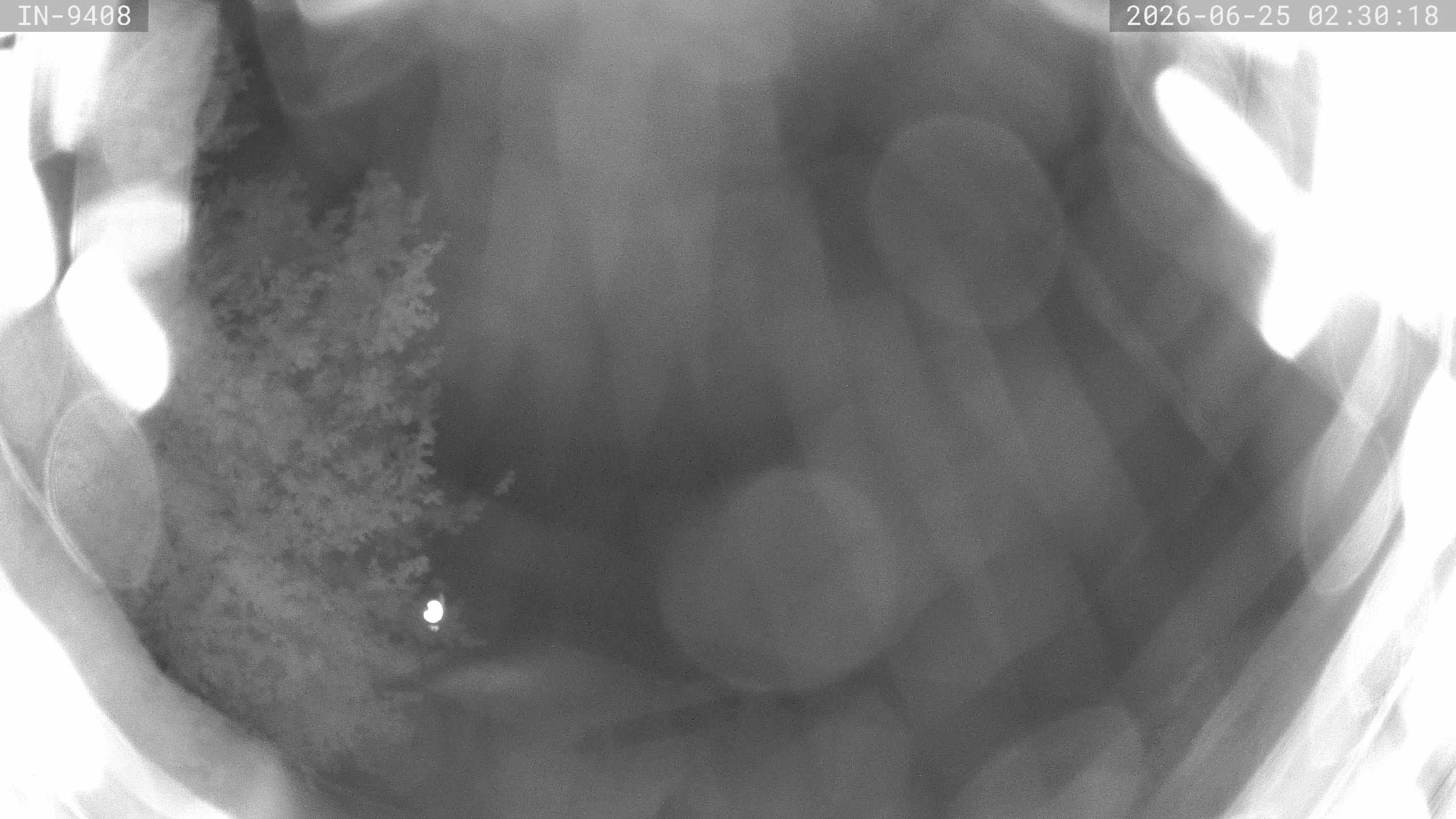 Archiv Foto Webcam Blick auf den Golfplatz in Bad Wörishofen
