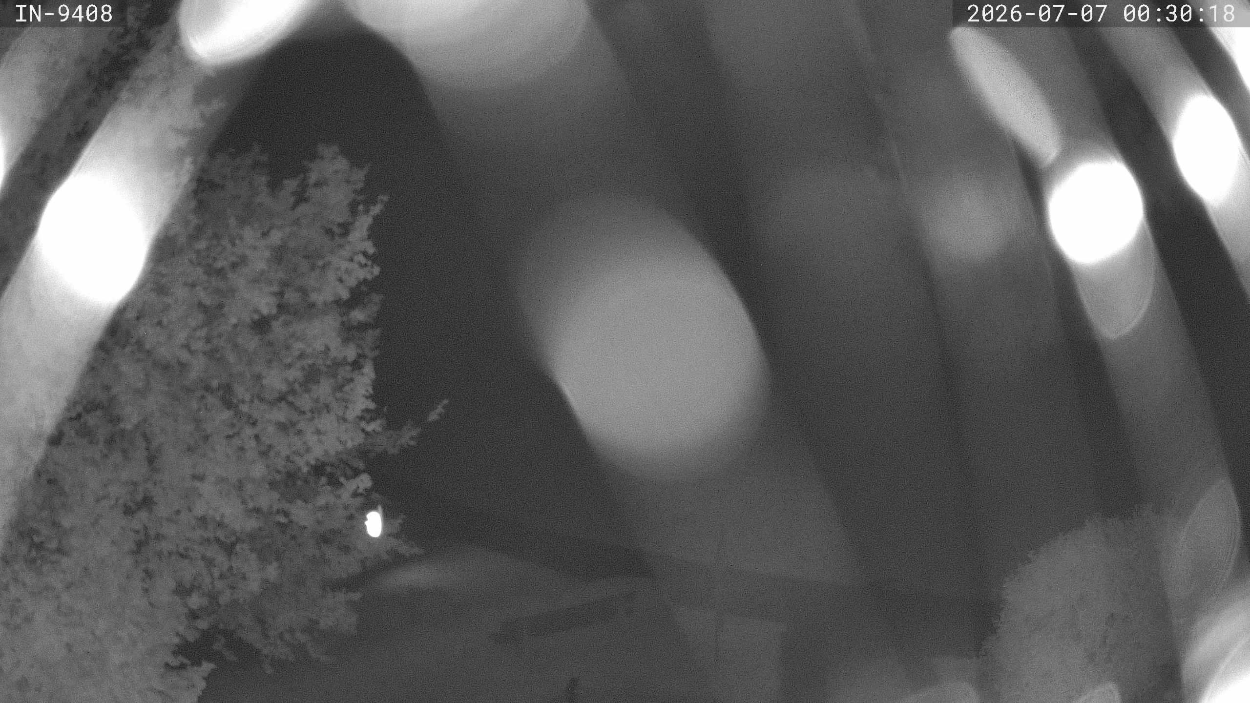 Archiv Foto Webcam Blick auf den Golfplatz in Bad Wörishofen
