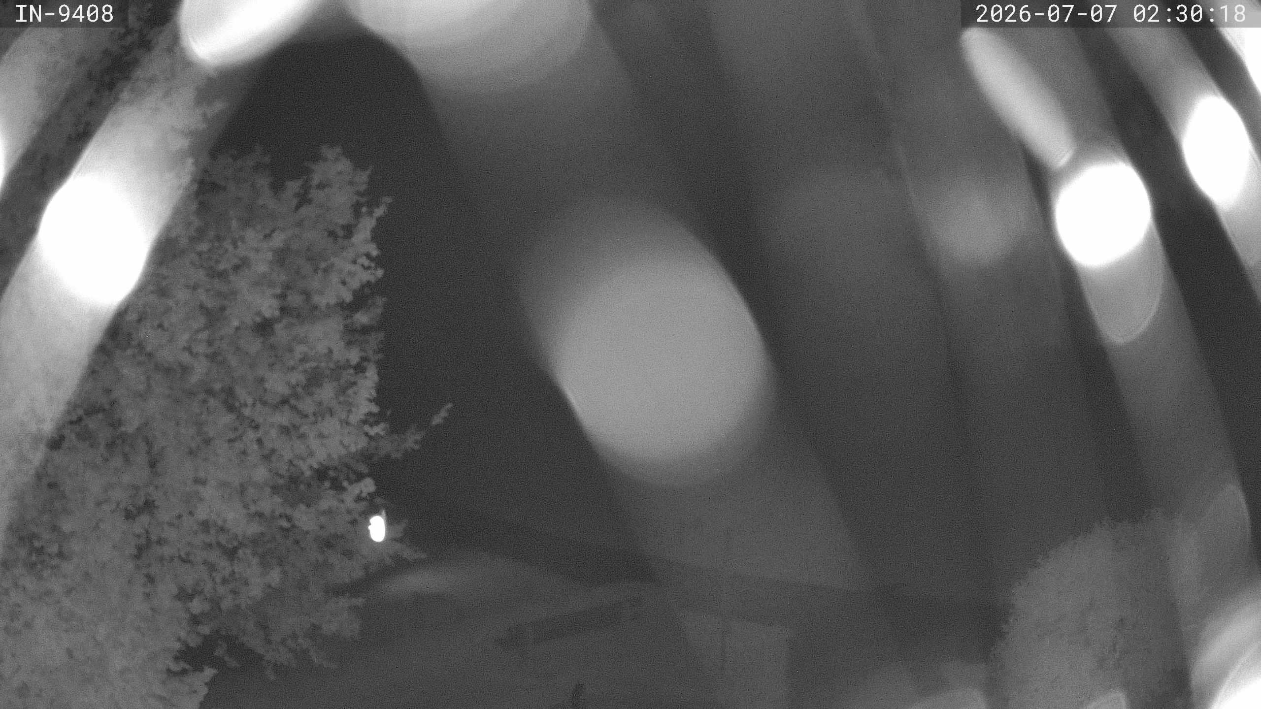Archiv Foto Webcam Blick auf den Golfplatz in Bad Wörishofen