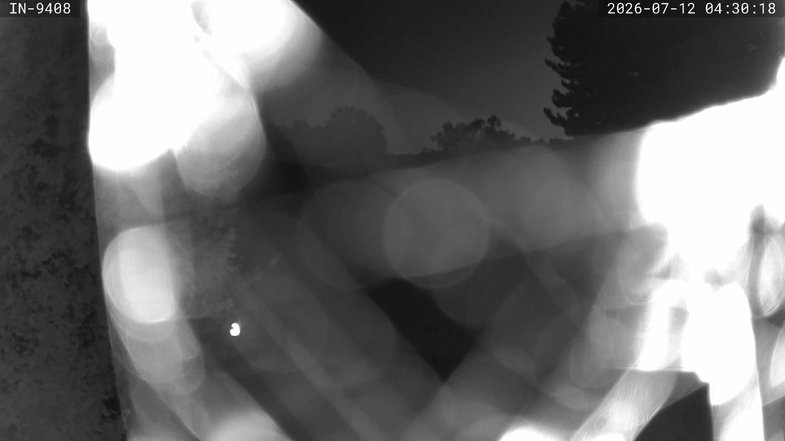 Archived image Webcam Golf course Bad Wörishofen