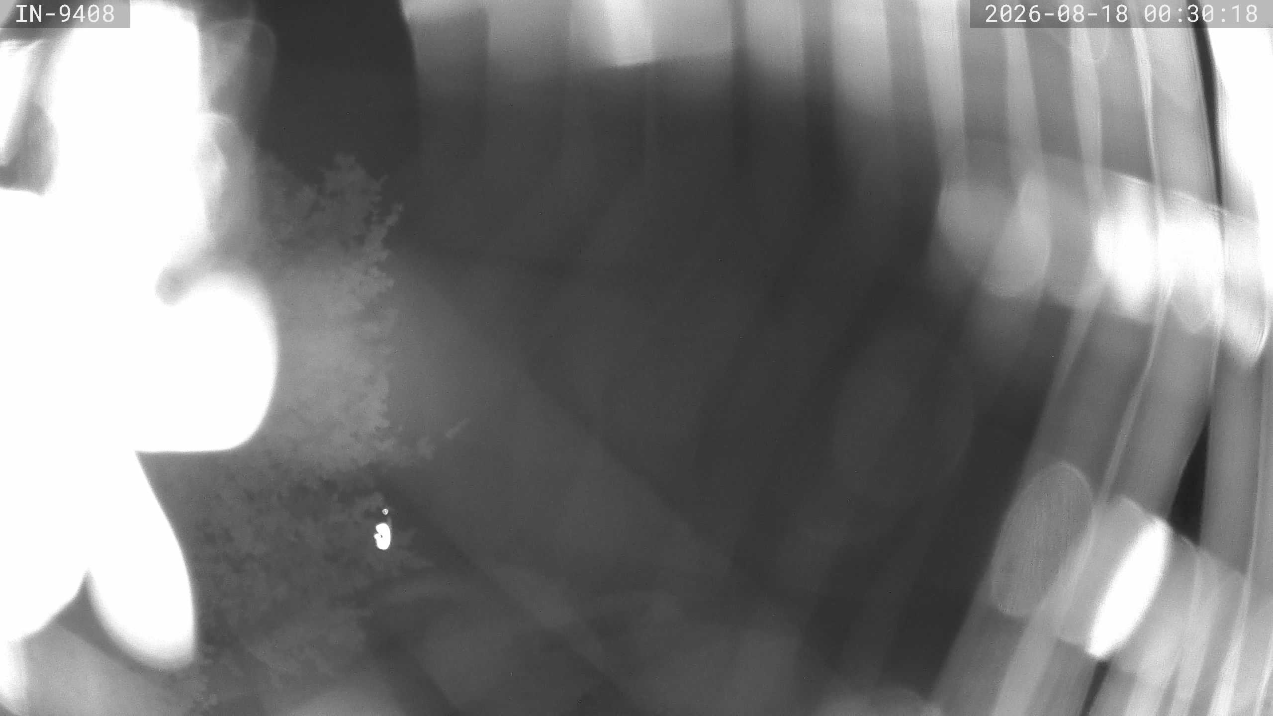 Archiv Foto Webcam Blick auf den Golfplatz in Bad Wörishofen