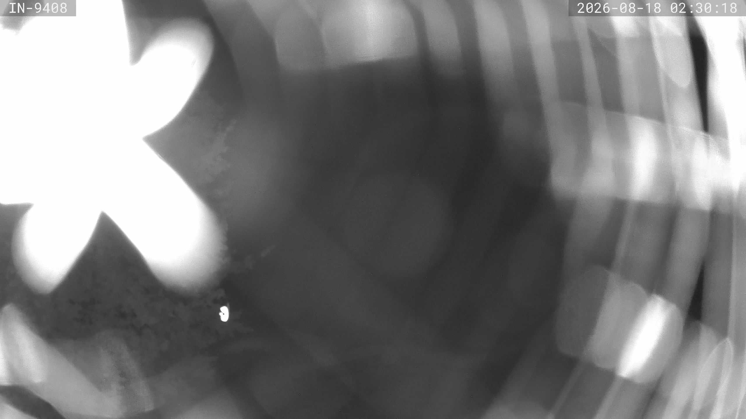 Archiv Foto Webcam Blick auf den Golfplatz in Bad Wörishofen