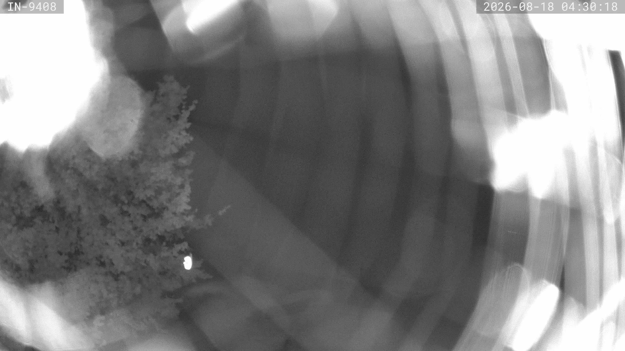 Archiv Foto Webcam Blick auf den Golfplatz in Bad Wörishofen