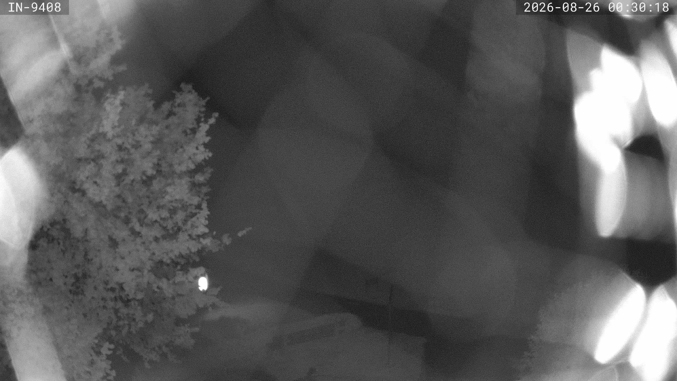 Archived image Webcam Golf course Bad Wörishofen