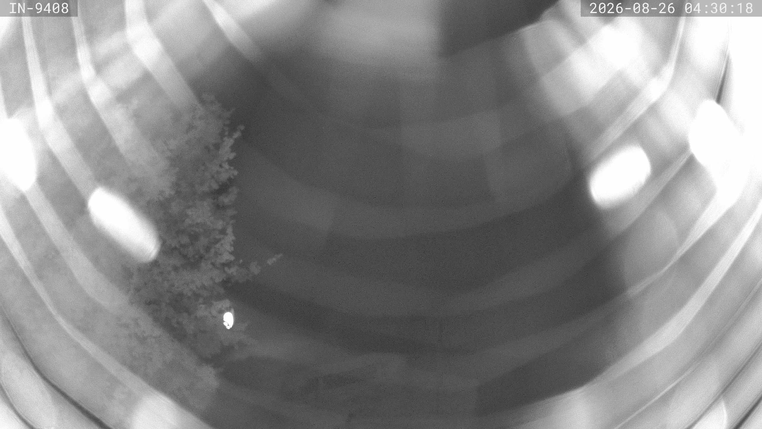 Archived image Webcam Golf course Bad Wörishofen