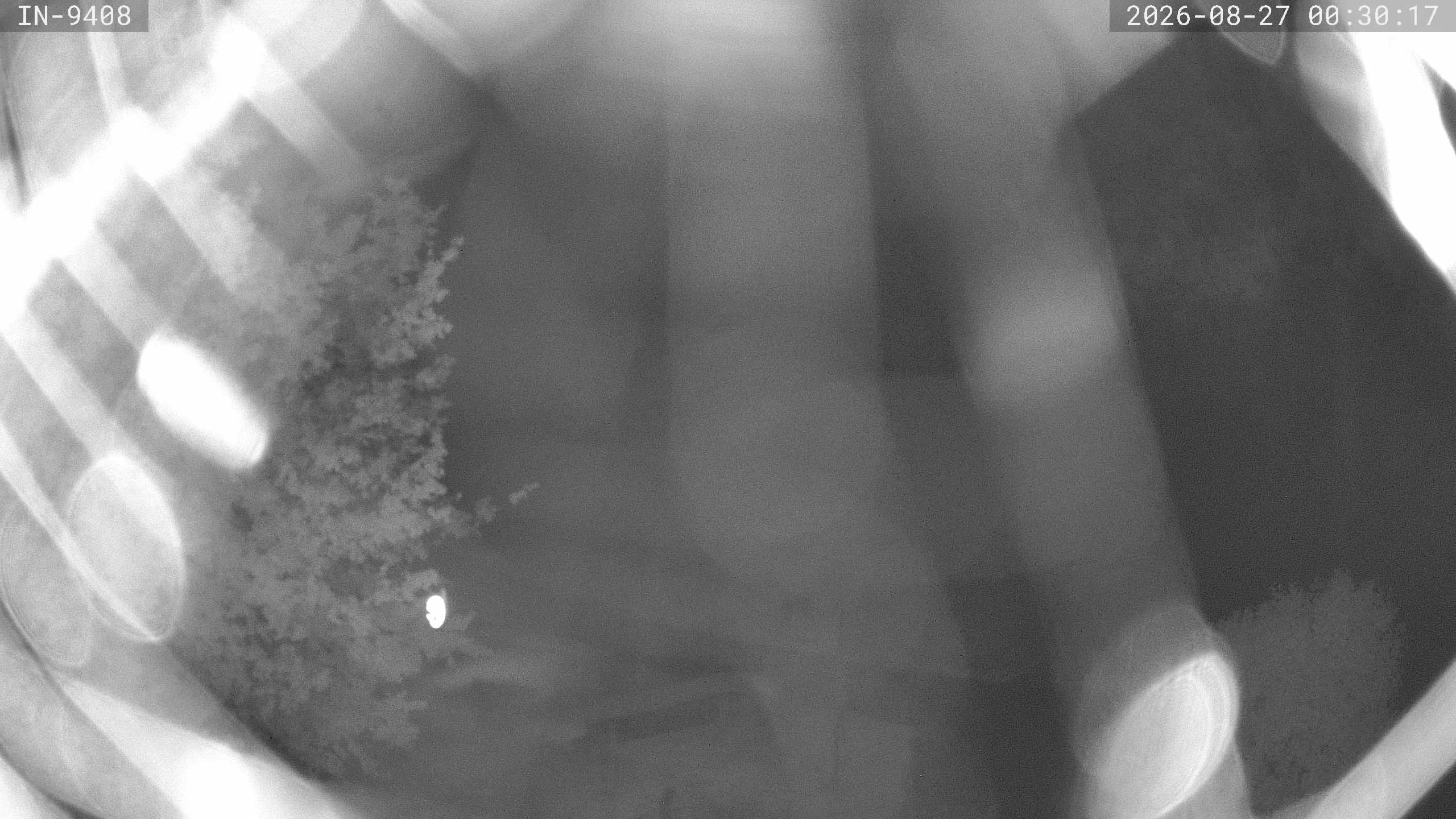 Archiv Foto Webcam Blick auf den Golfplatz in Bad Wörishofen