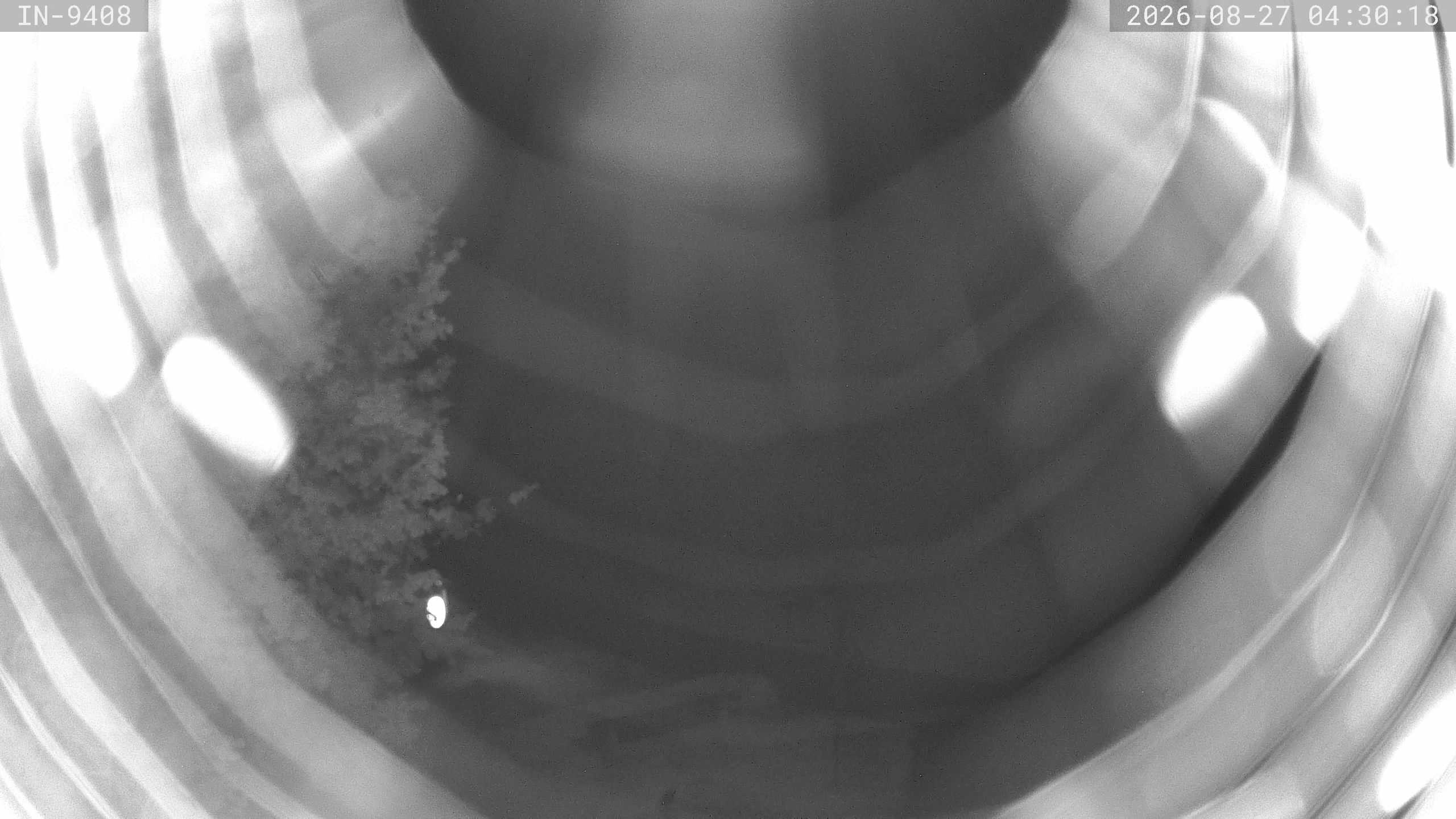 Archiv Foto Webcam Blick auf den Golfplatz in Bad Wörishofen