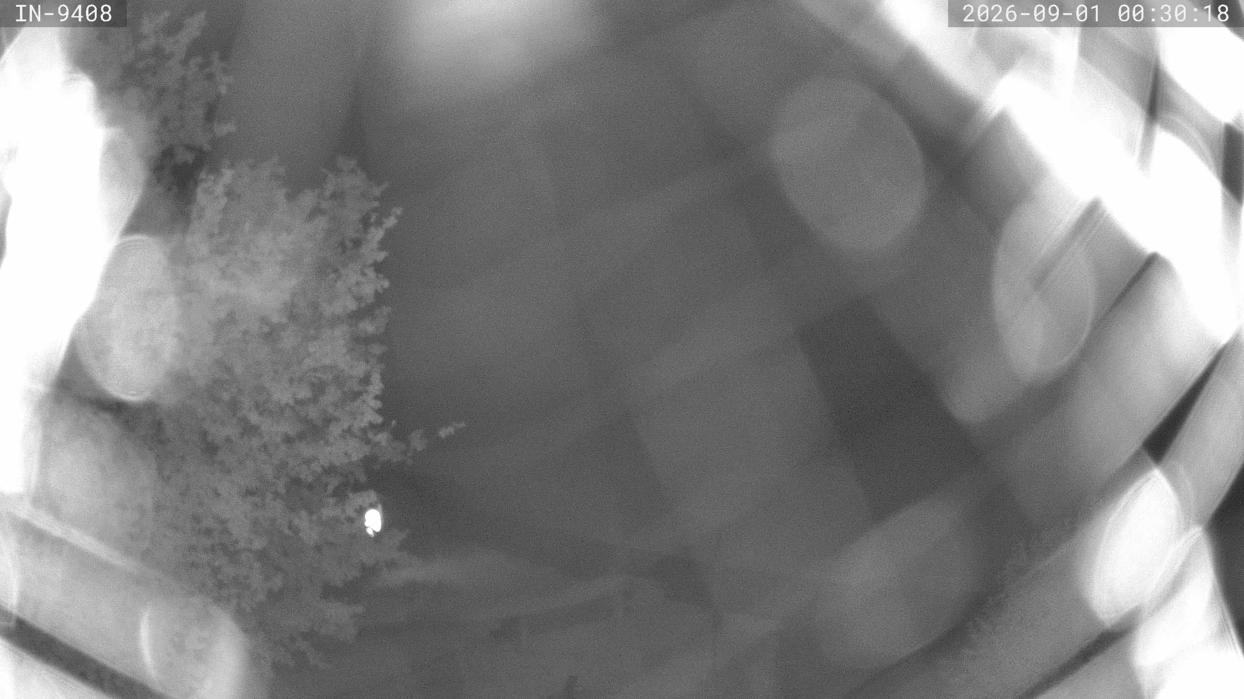 Archiv Foto Webcam Blick auf den Golfplatz in Bad Wörishofen
