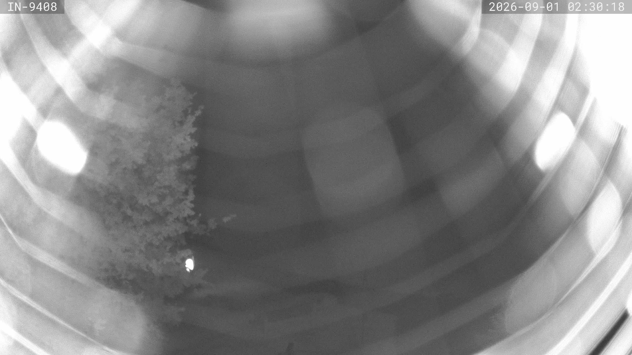 Archiv Foto Webcam Blick auf den Golfplatz in Bad Wörishofen