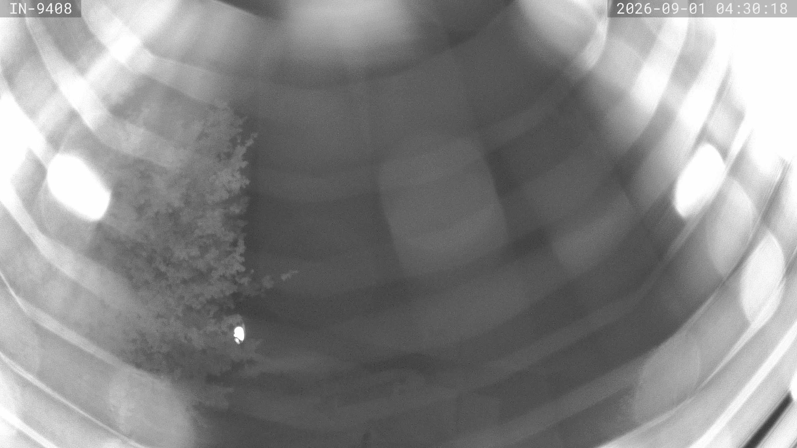 Archiv Foto Webcam Blick auf den Golfplatz in Bad Wörishofen