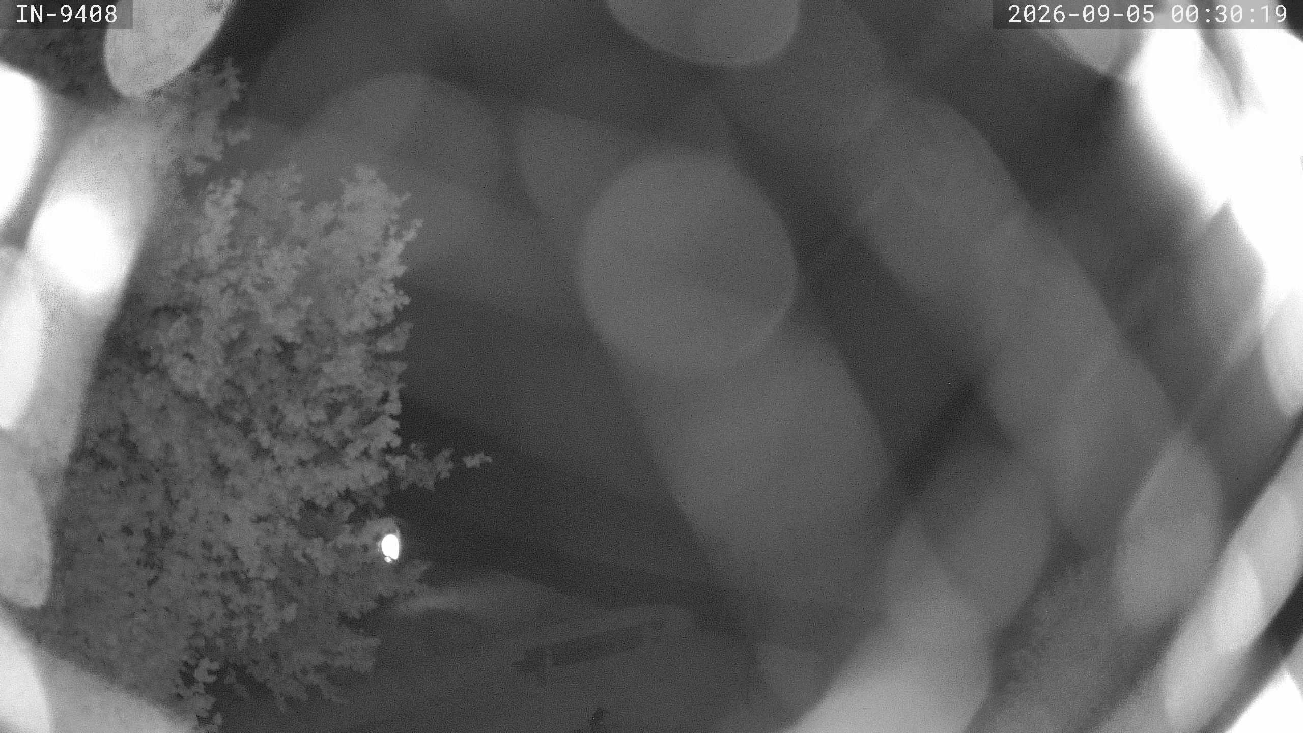 Archived image Webcam Golf course Bad Wörishofen