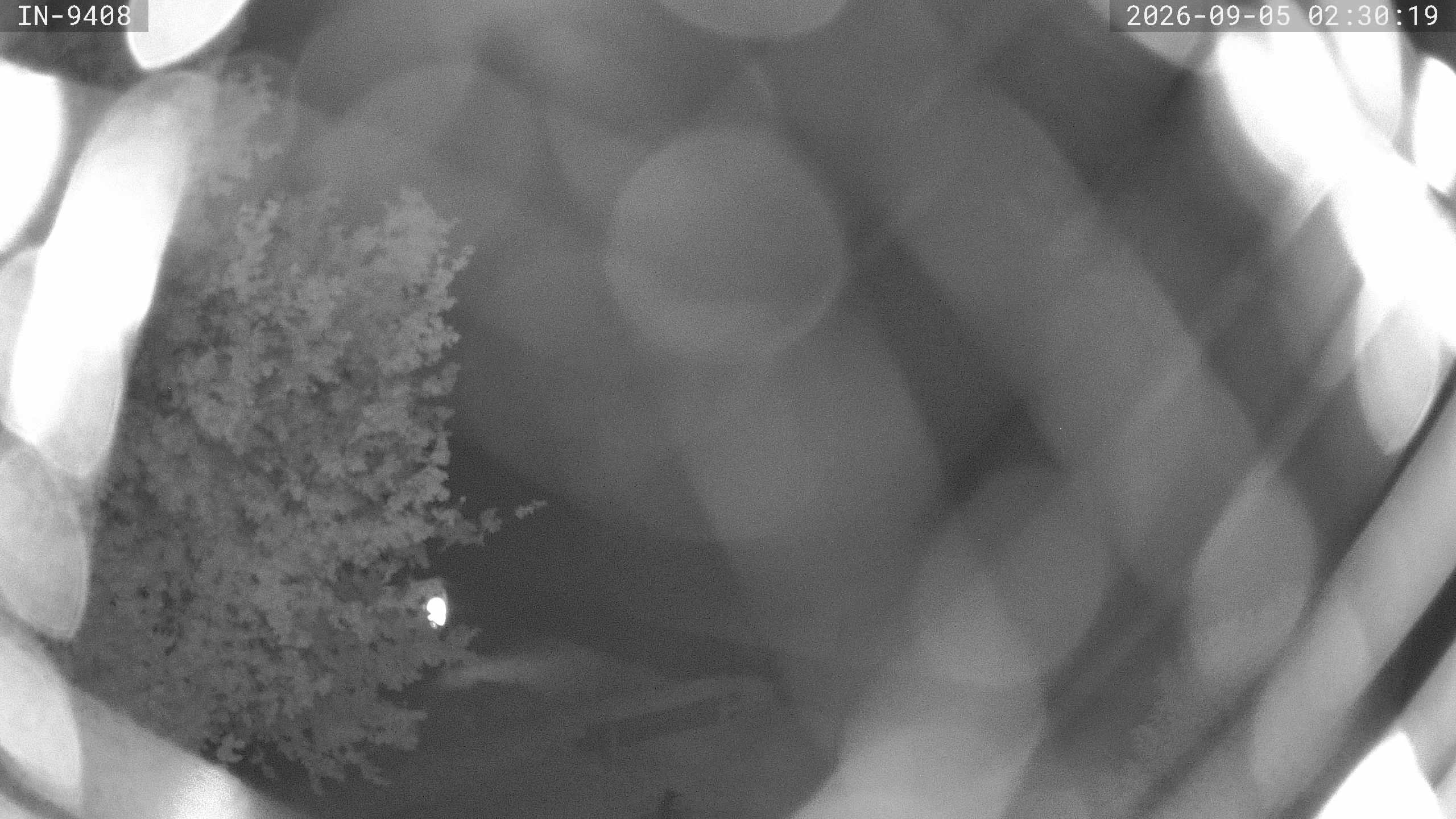 Archived image Webcam Golf course Bad Wörishofen
