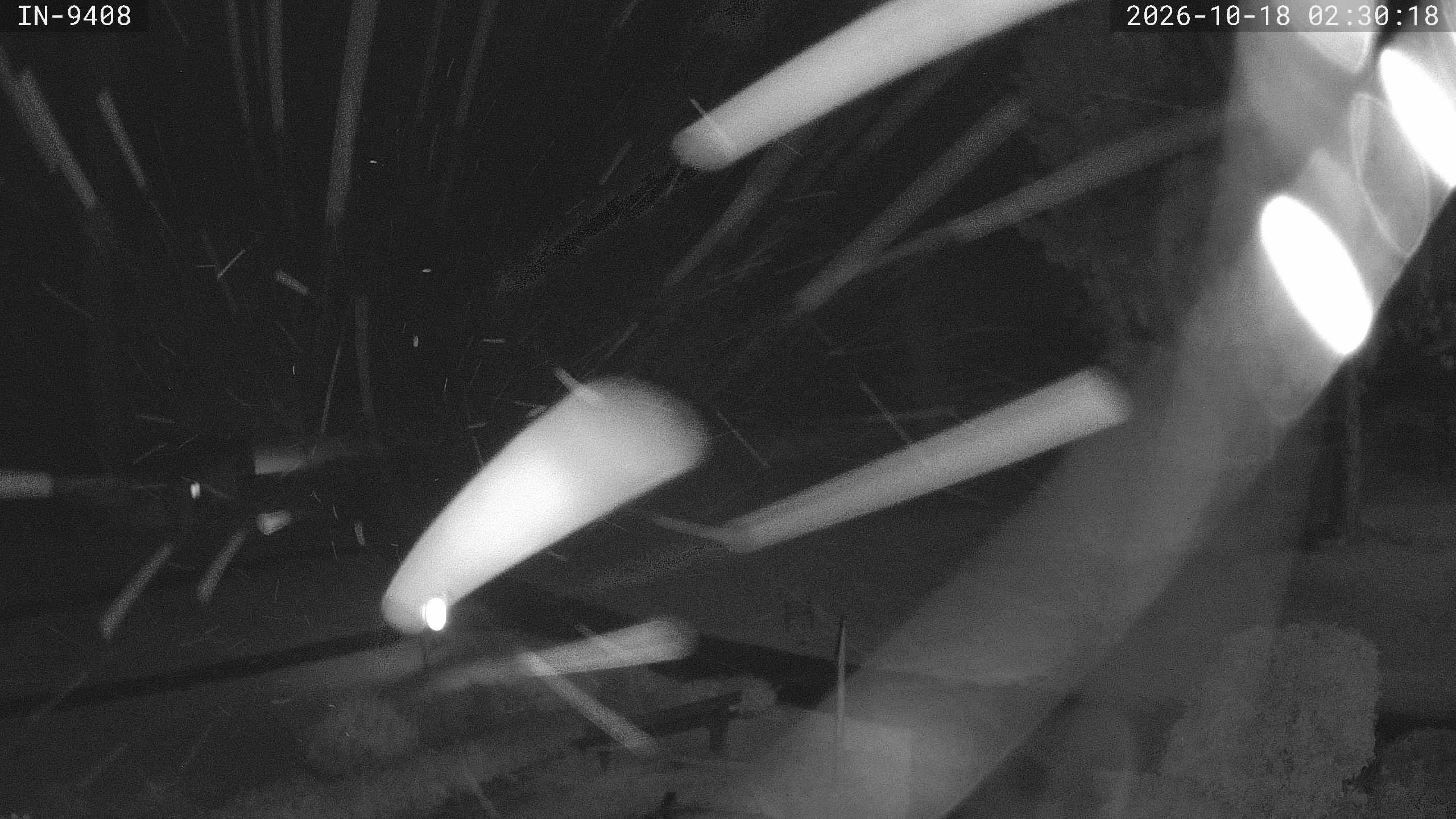 Archiv Foto Webcam Blick auf den Golfplatz in Bad Wörishofen